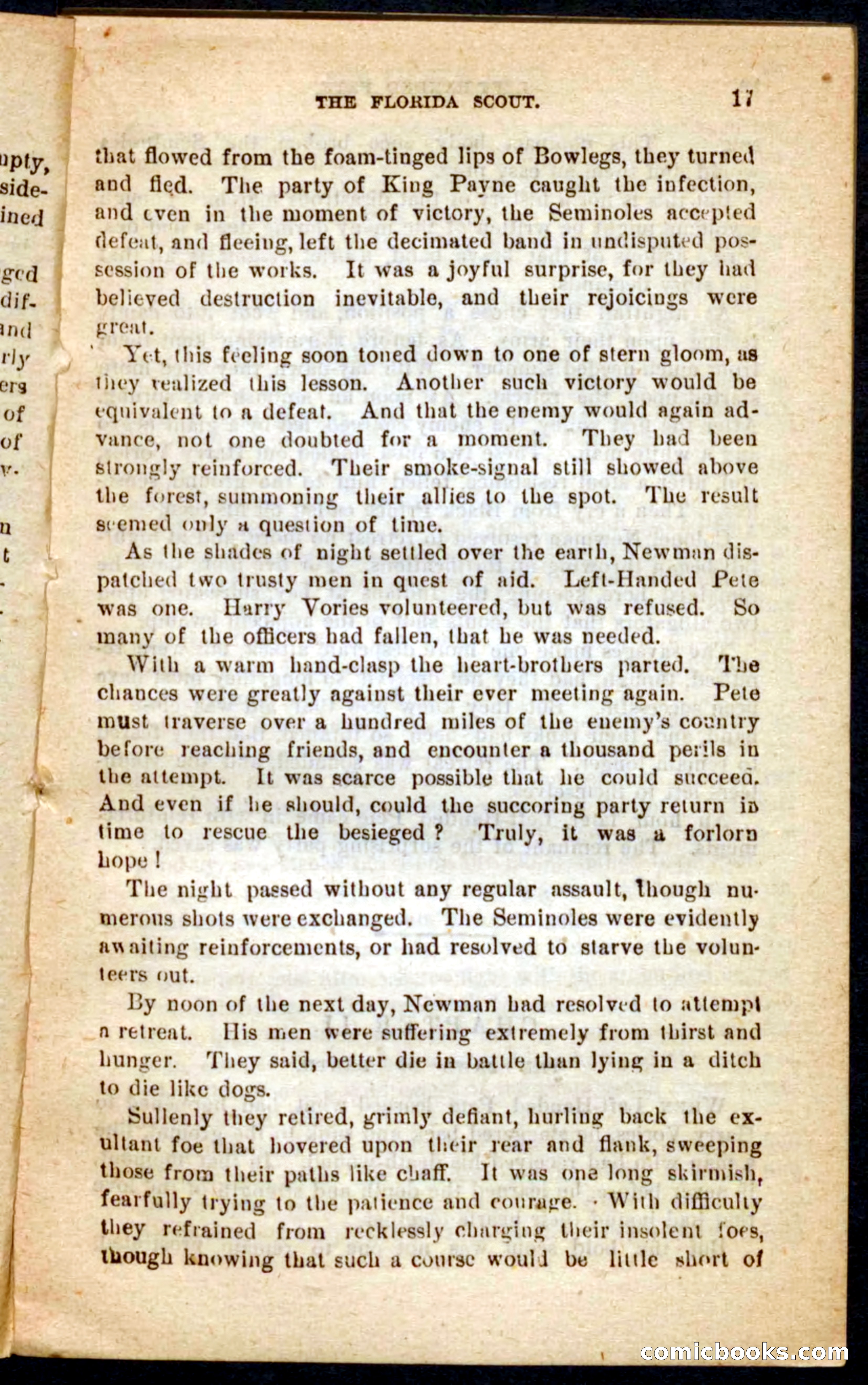 The Florida Scout — page 13 of 100