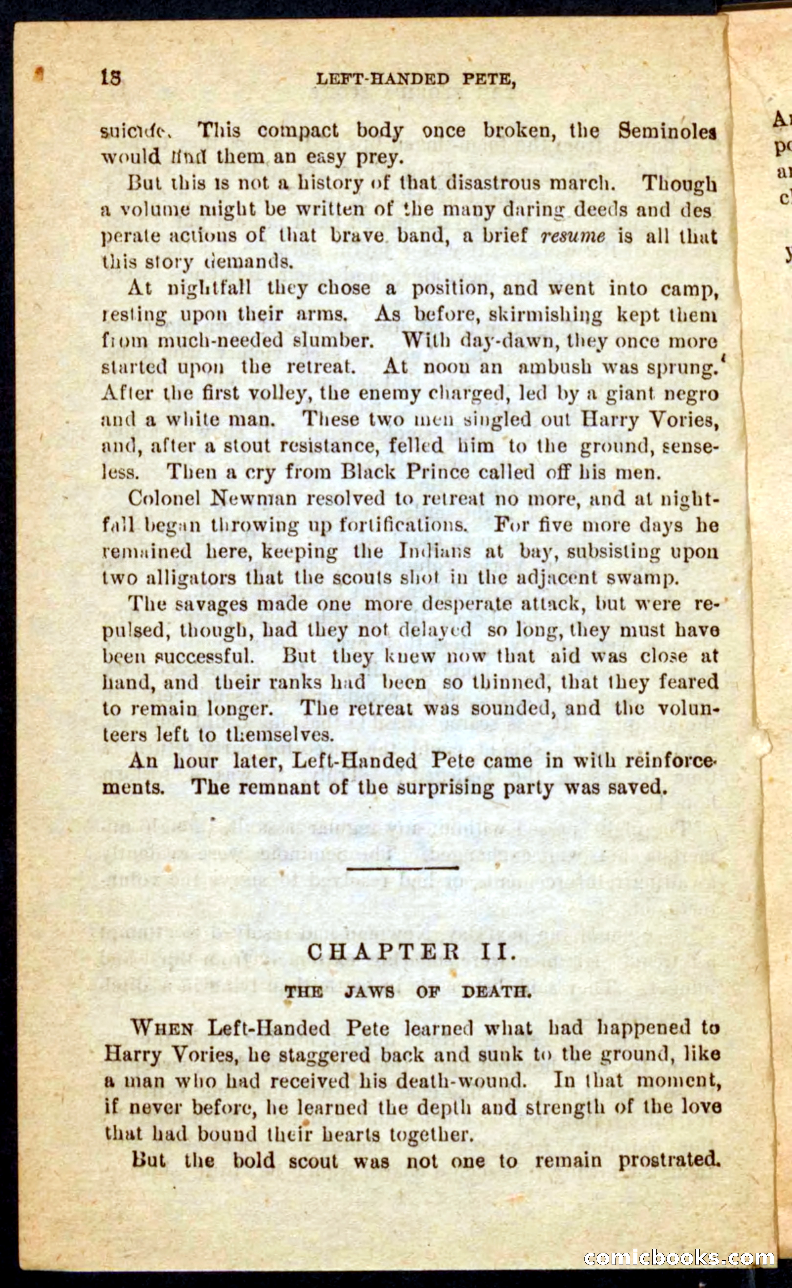 The Florida Scout — page 14 of 100