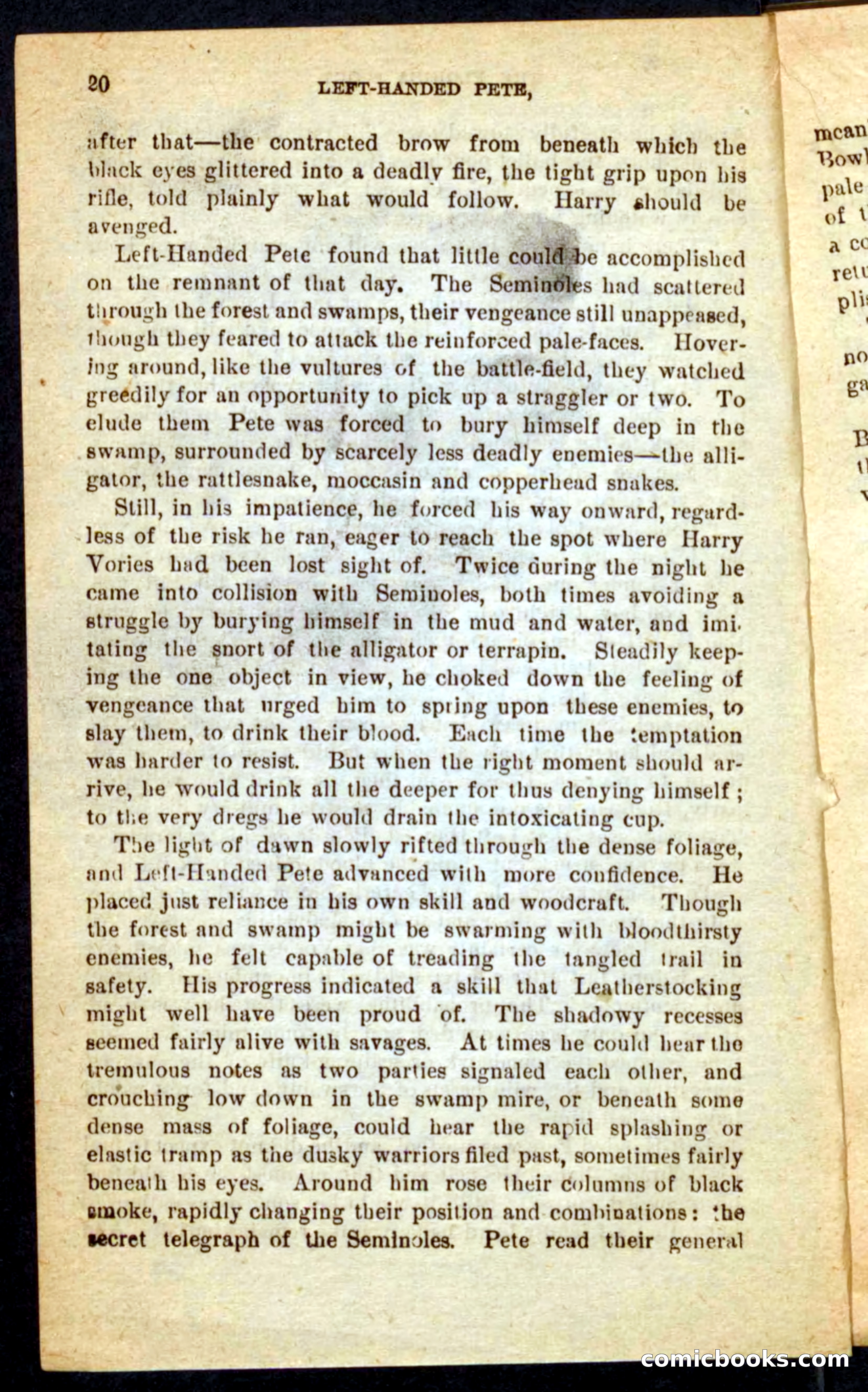 The Florida Scout — page 16 of 100