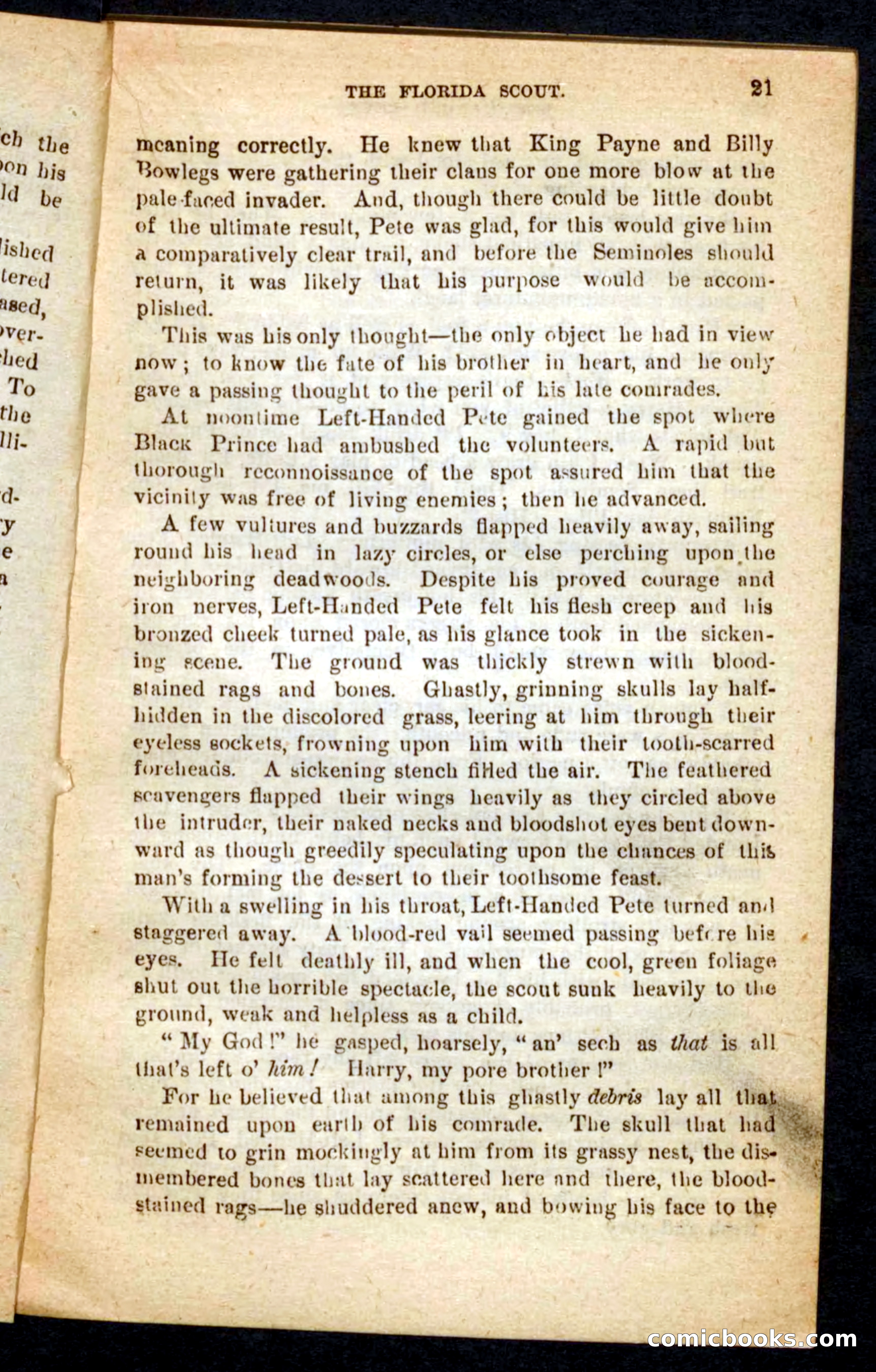 The Florida Scout — page 17 of 100