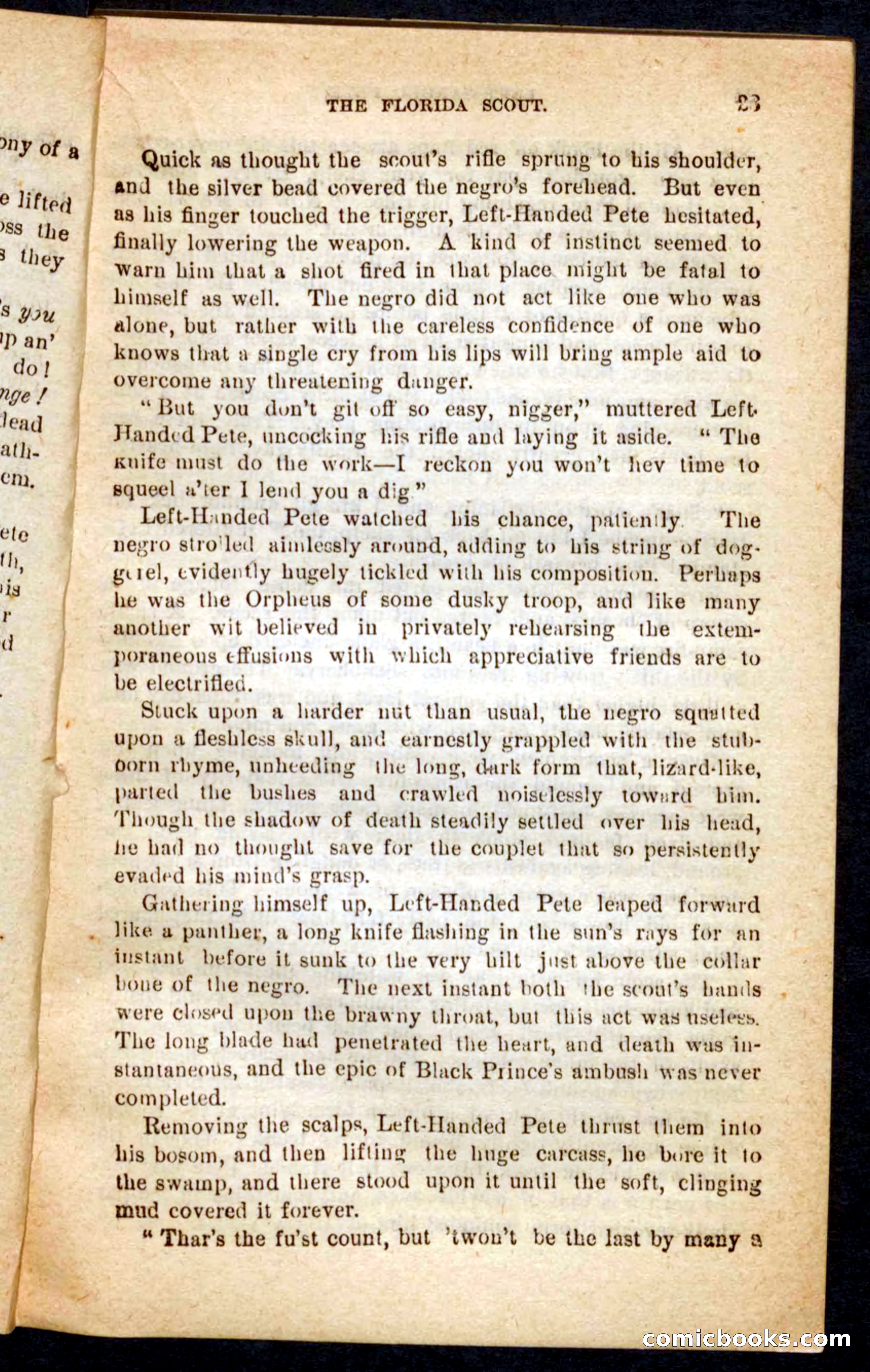 The Florida Scout — page 19 of 100