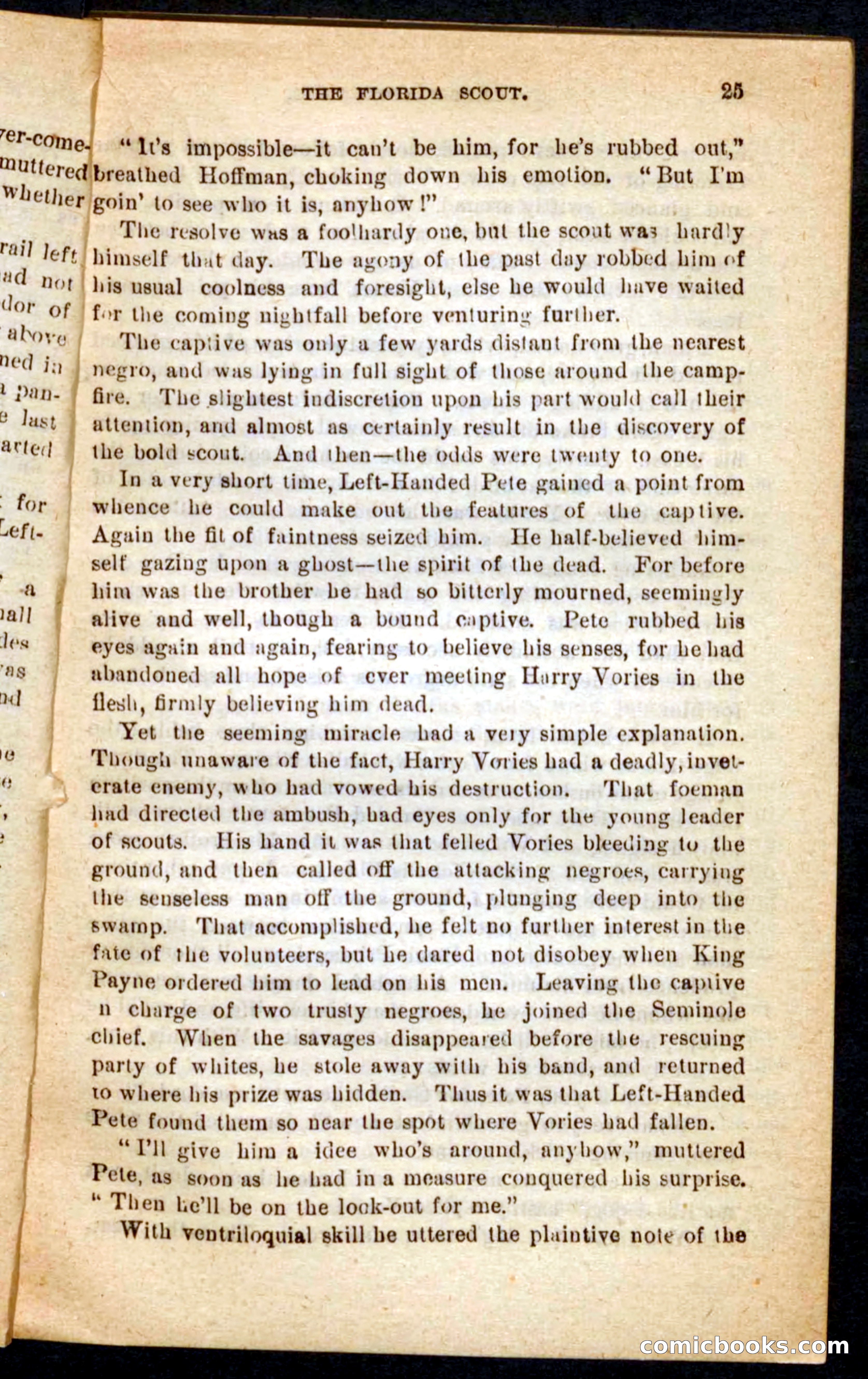 The Florida Scout — page 21 of 100