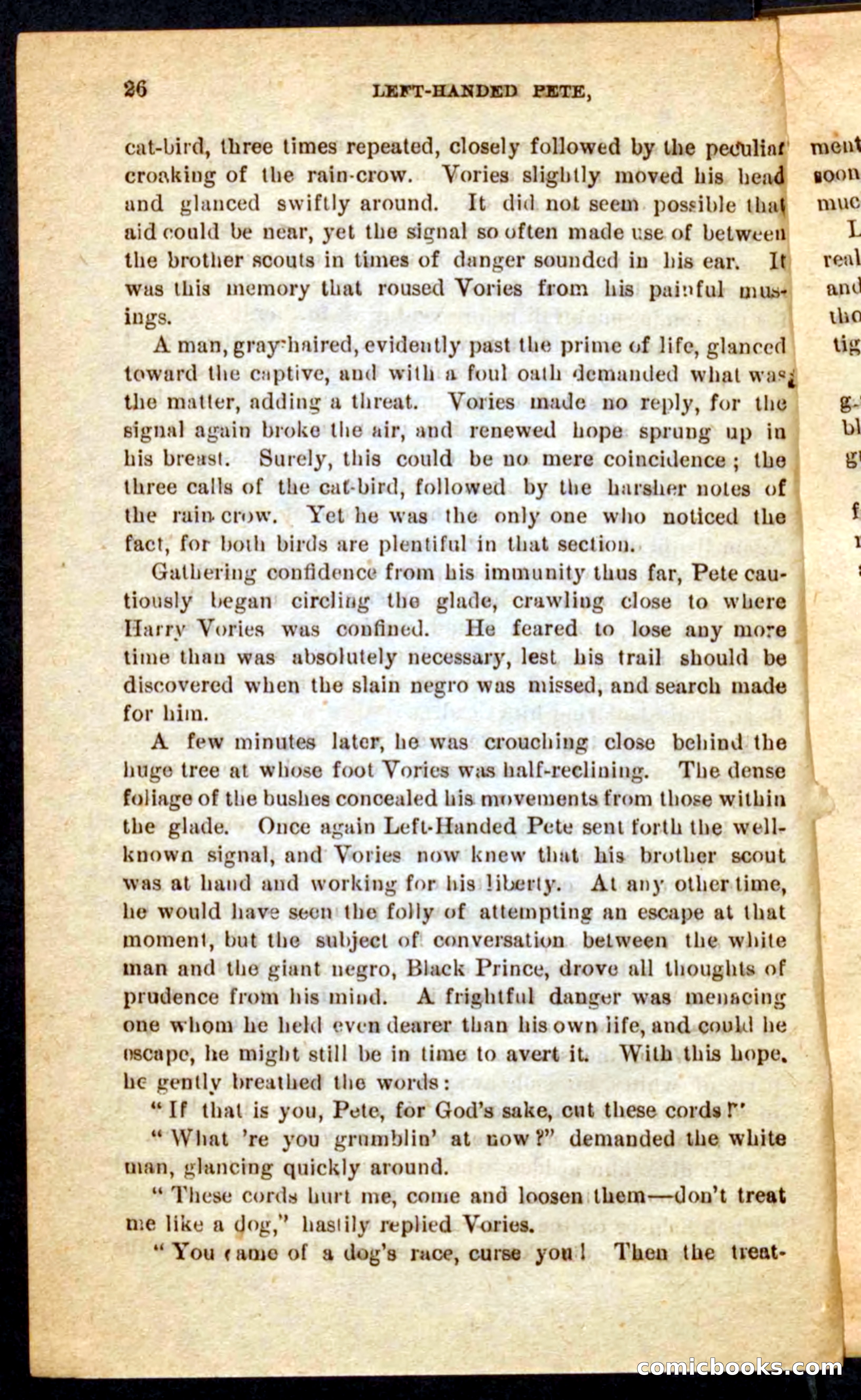 The Florida Scout — page 22 of 100