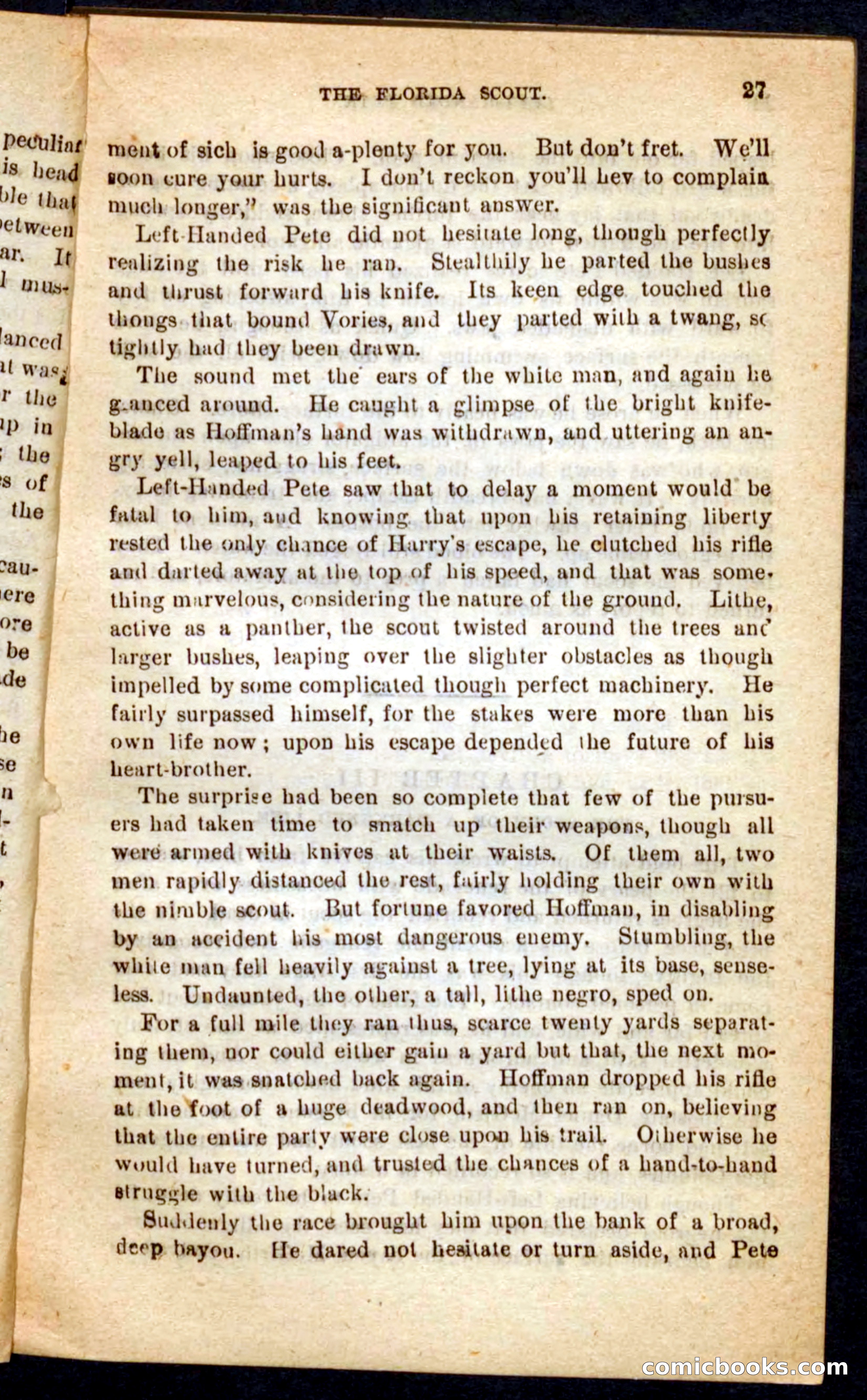 The Florida Scout — page 23 of 100