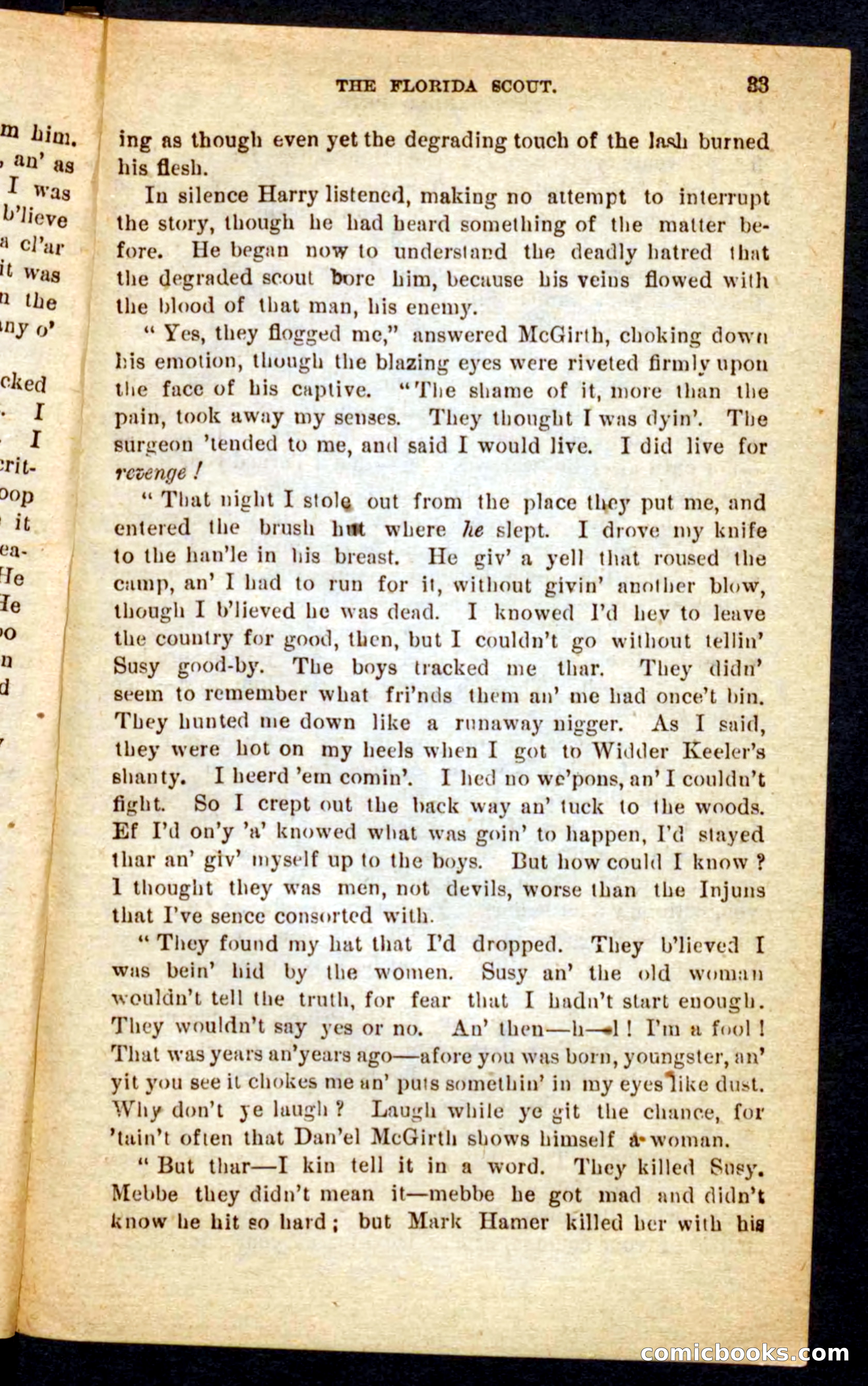 The Florida Scout — page 29 of 100