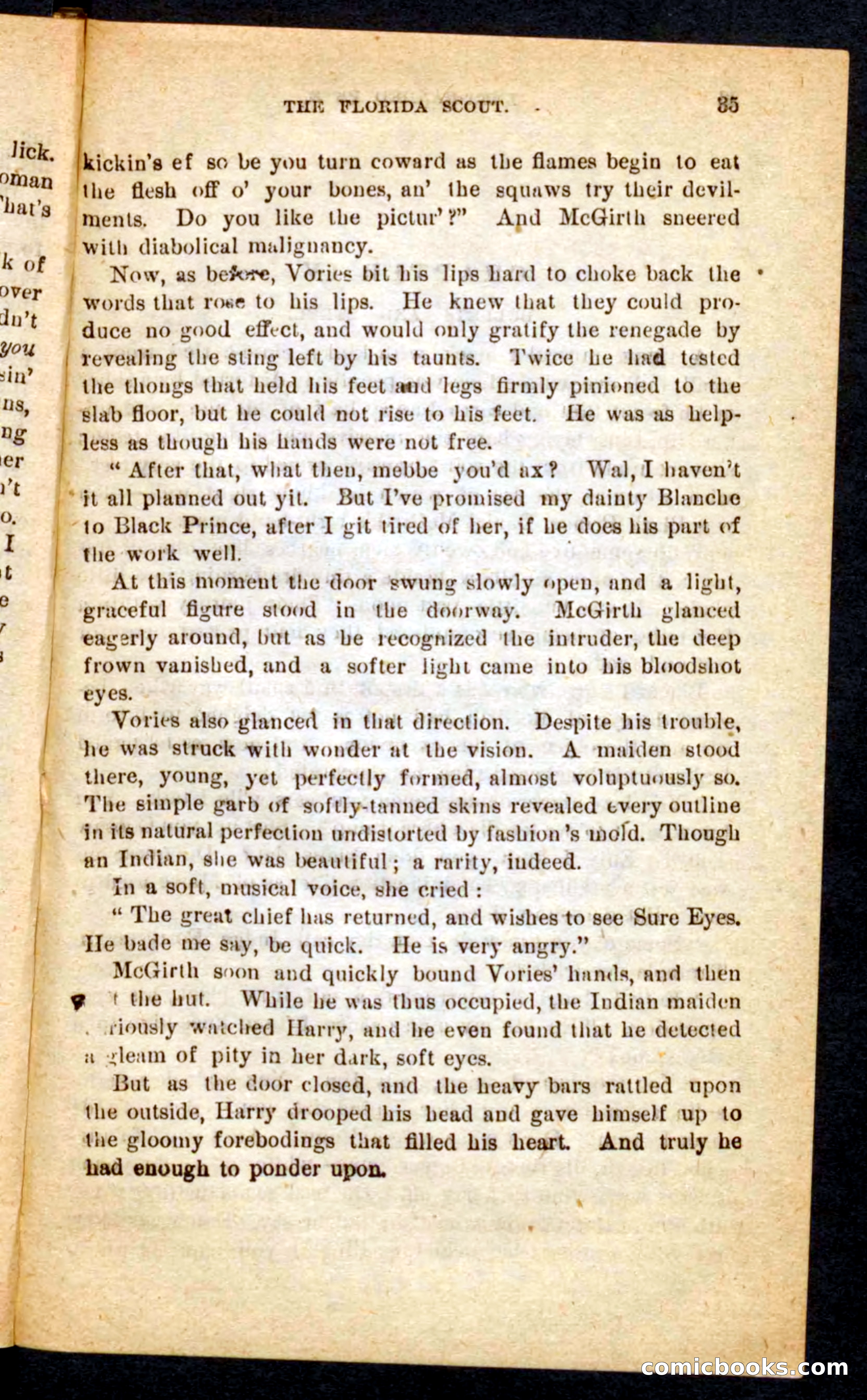 The Florida Scout — page 31 of 100