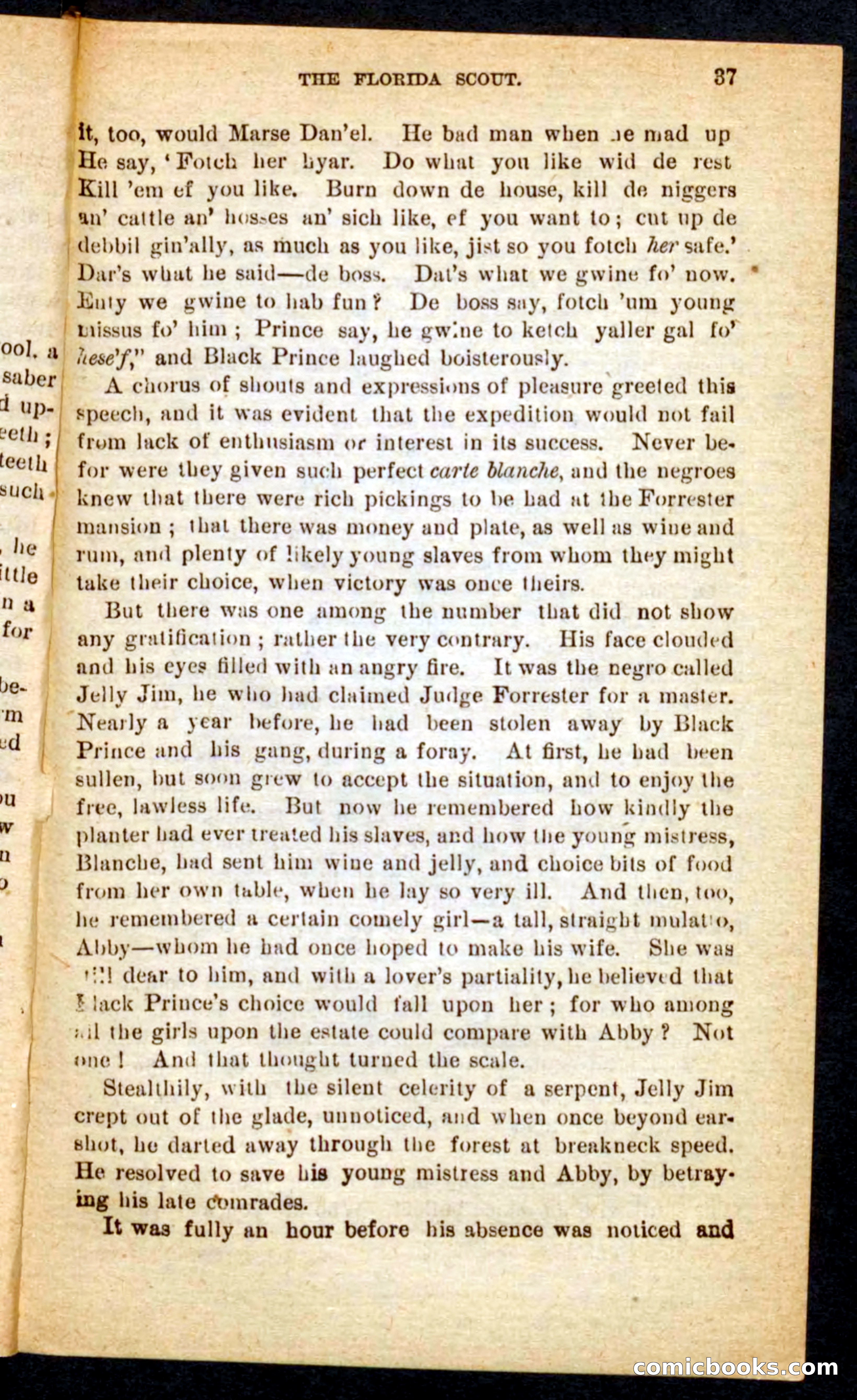 The Florida Scout — page 33 of 100
