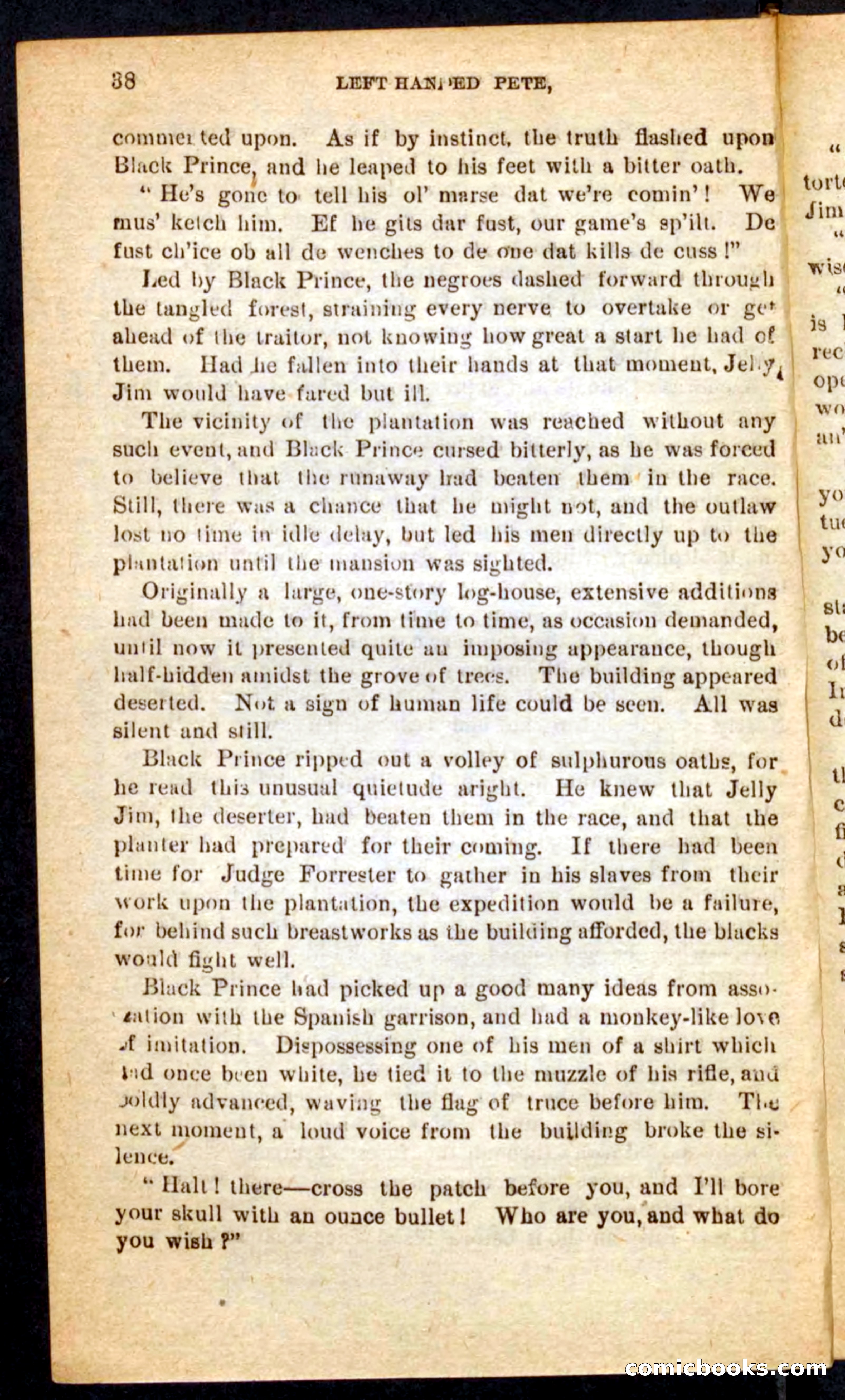 The Florida Scout — page 34 of 100