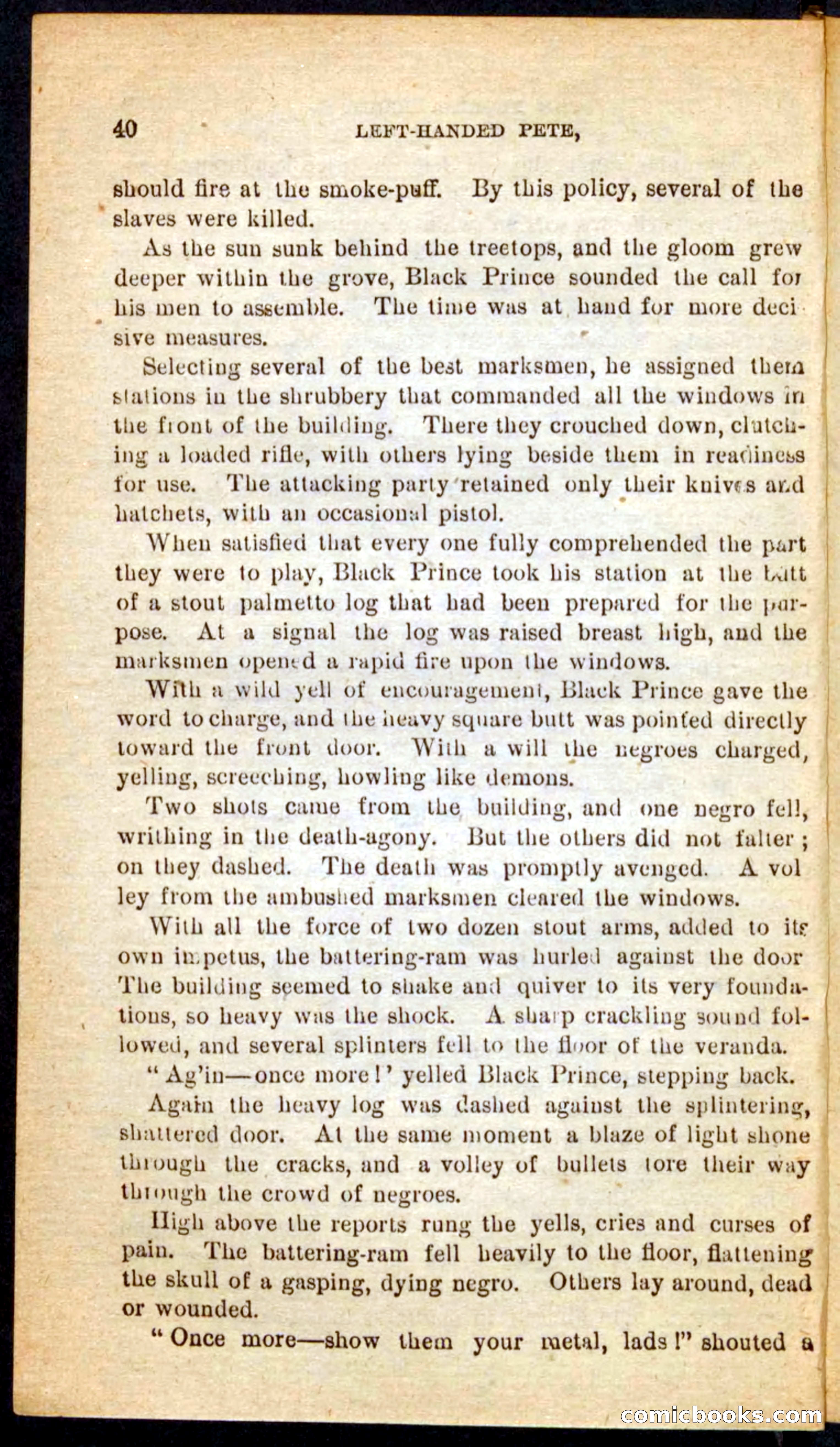 The Florida Scout — page 36 of 100