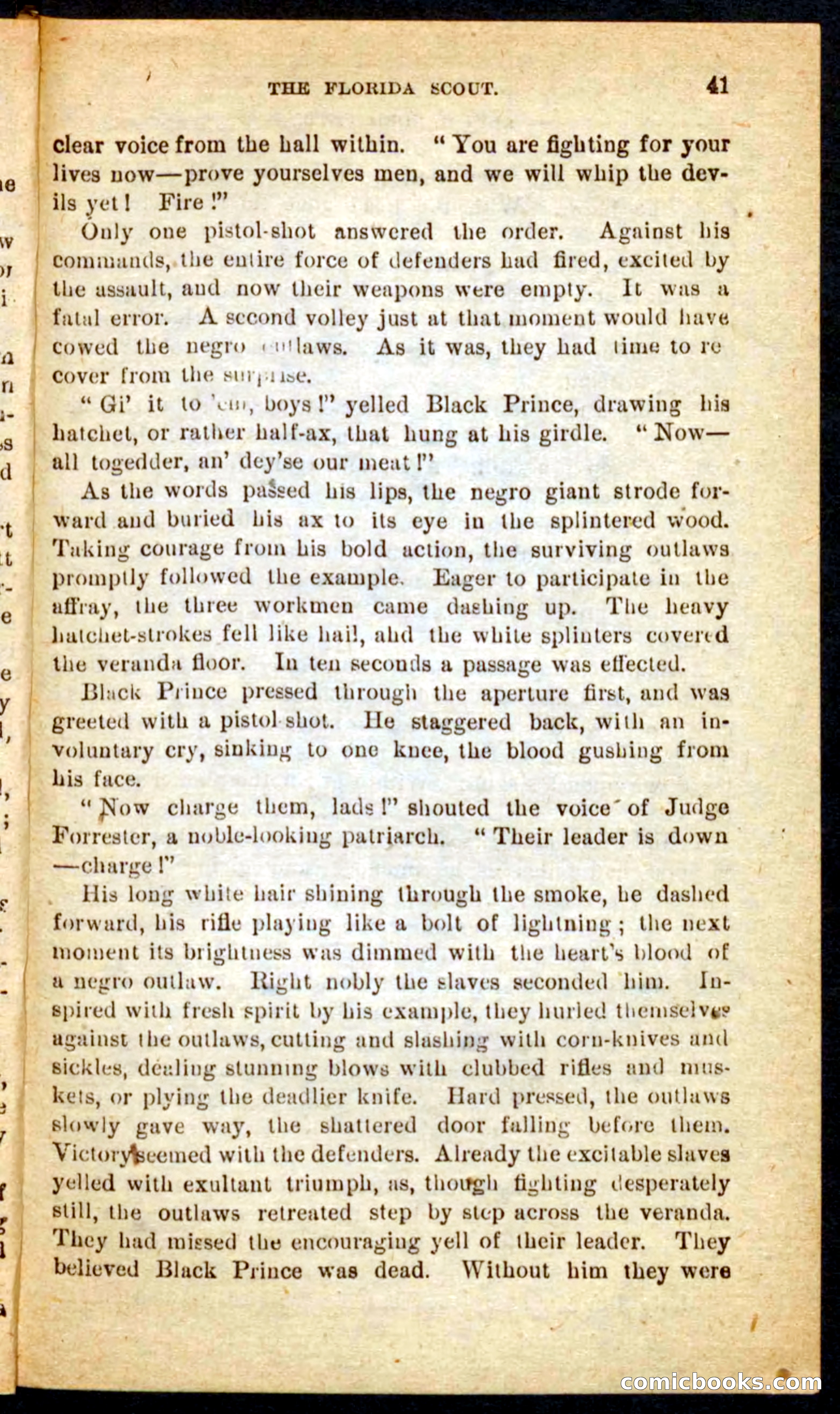 The Florida Scout — page 37 of 100