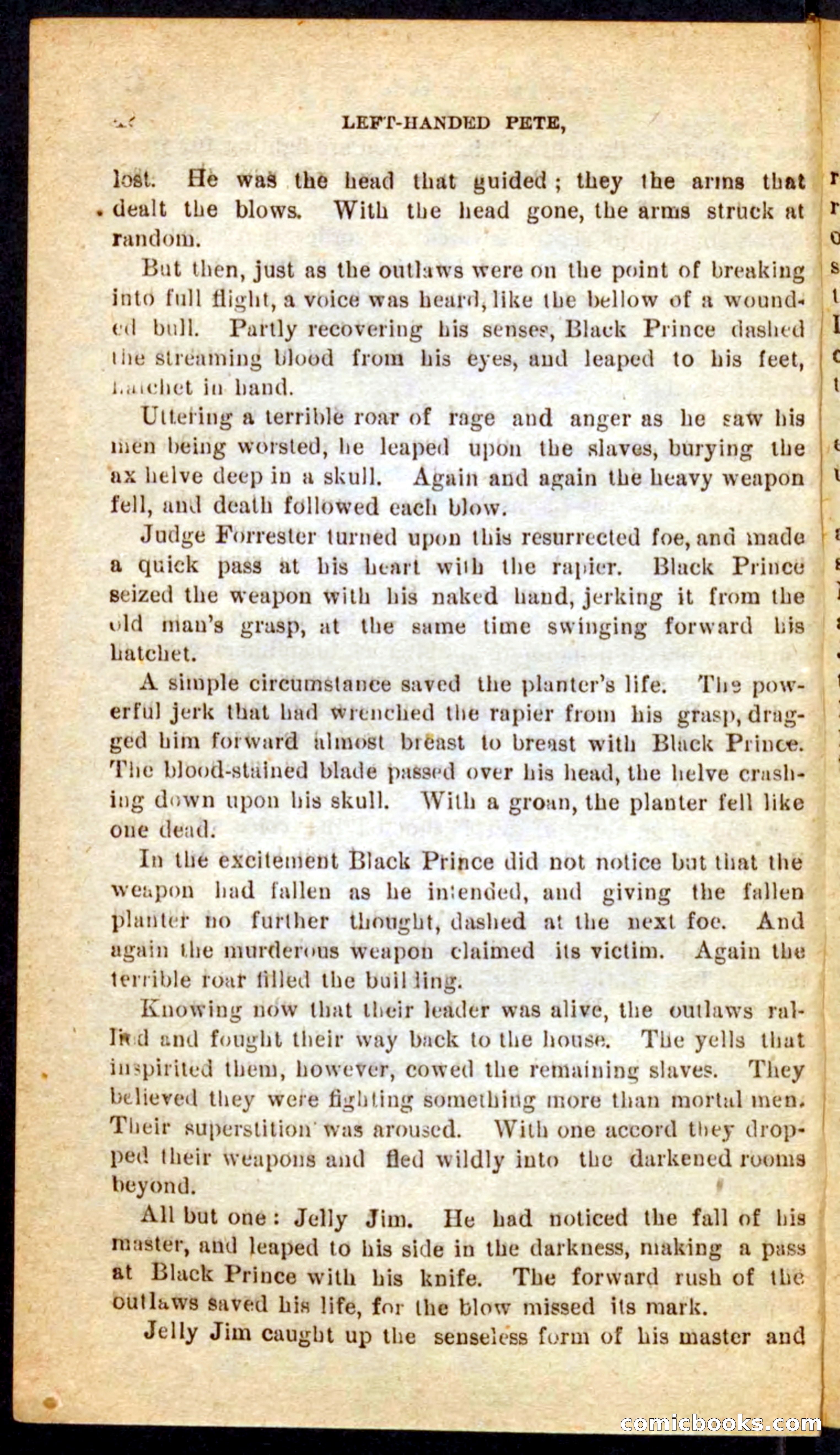 The Florida Scout — page 38 of 100