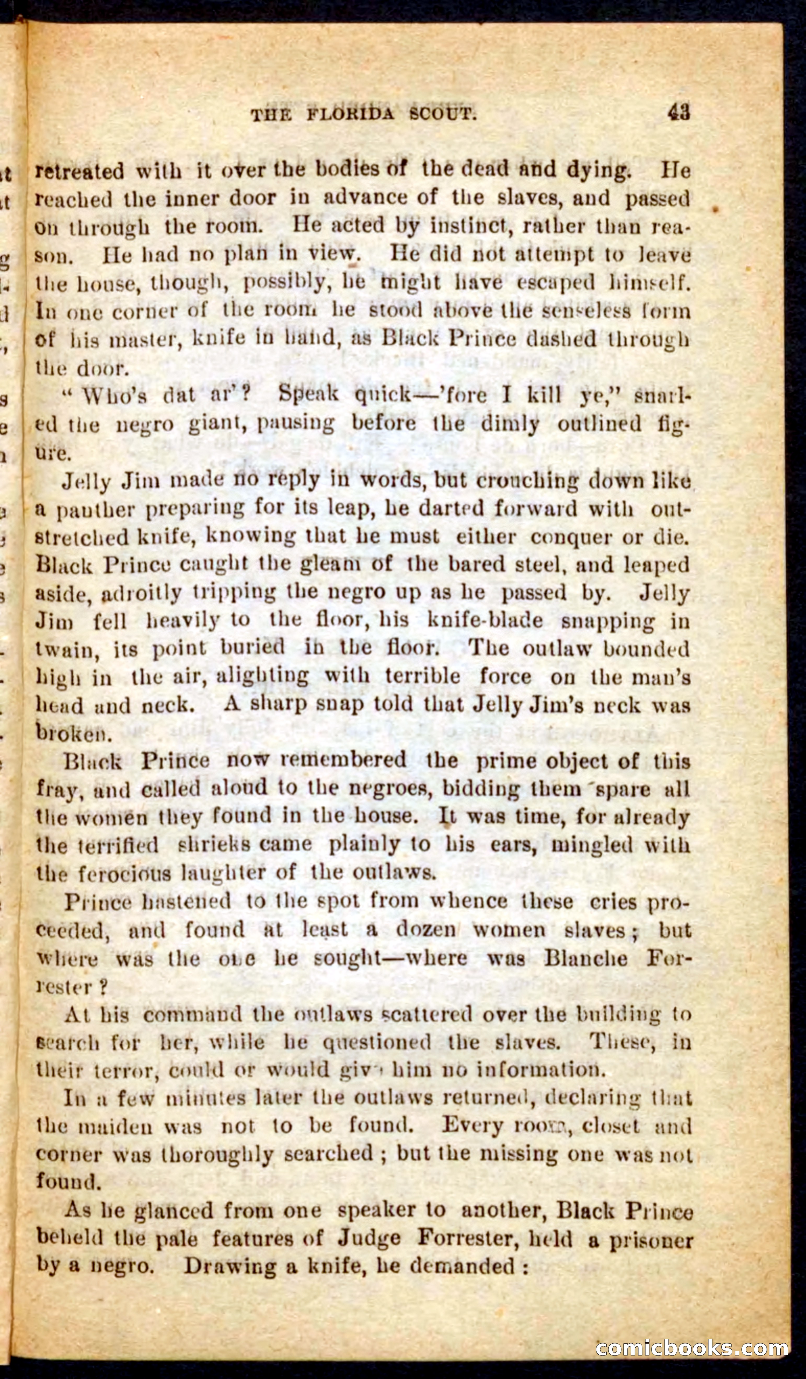 The Florida Scout — page 39 of 100