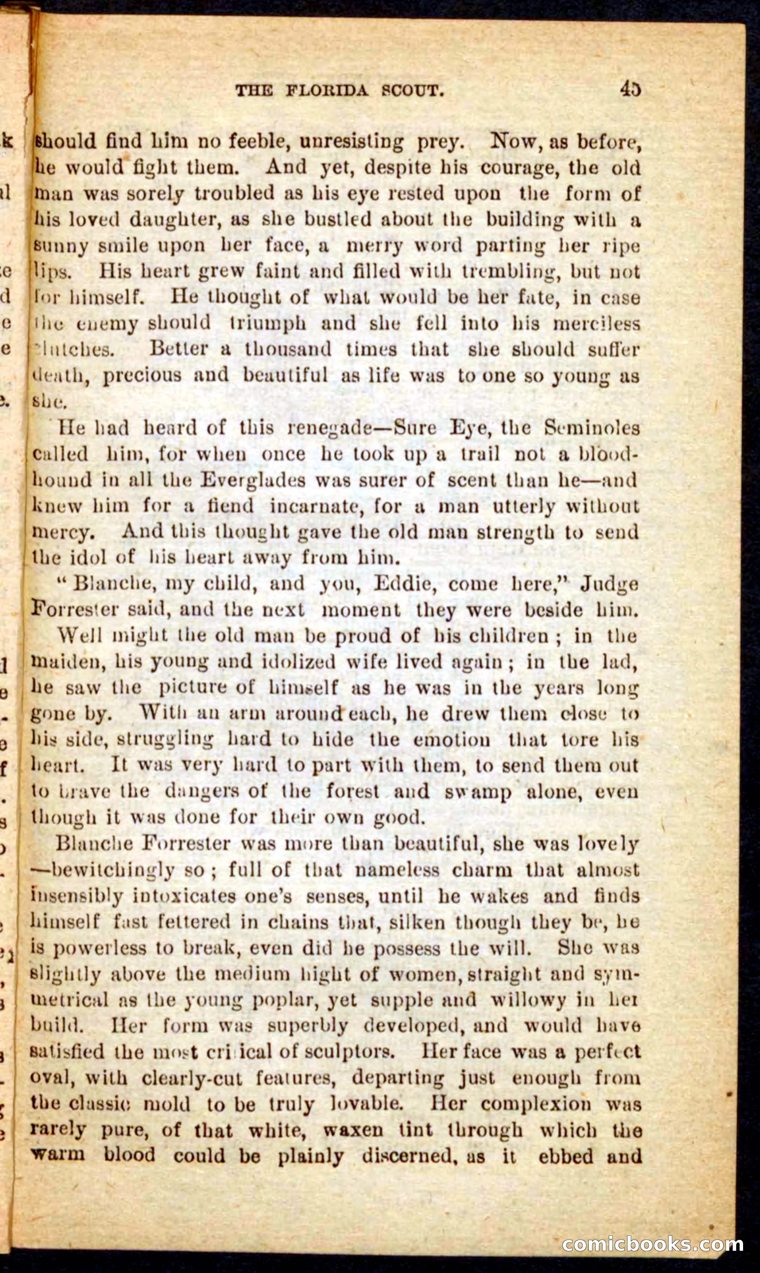 The Florida Scout — page 41 of 100