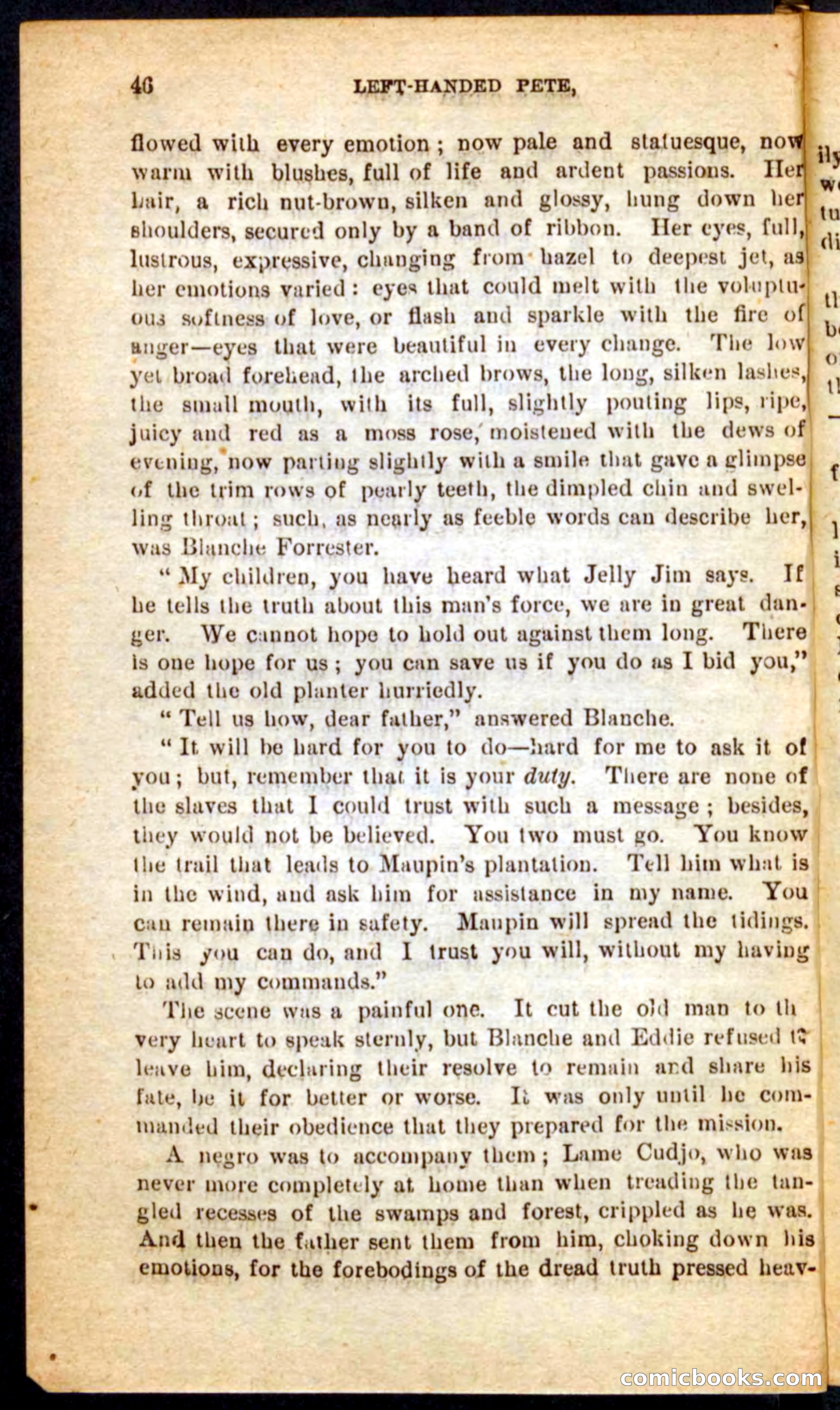 The Florida Scout — page 42 of 100