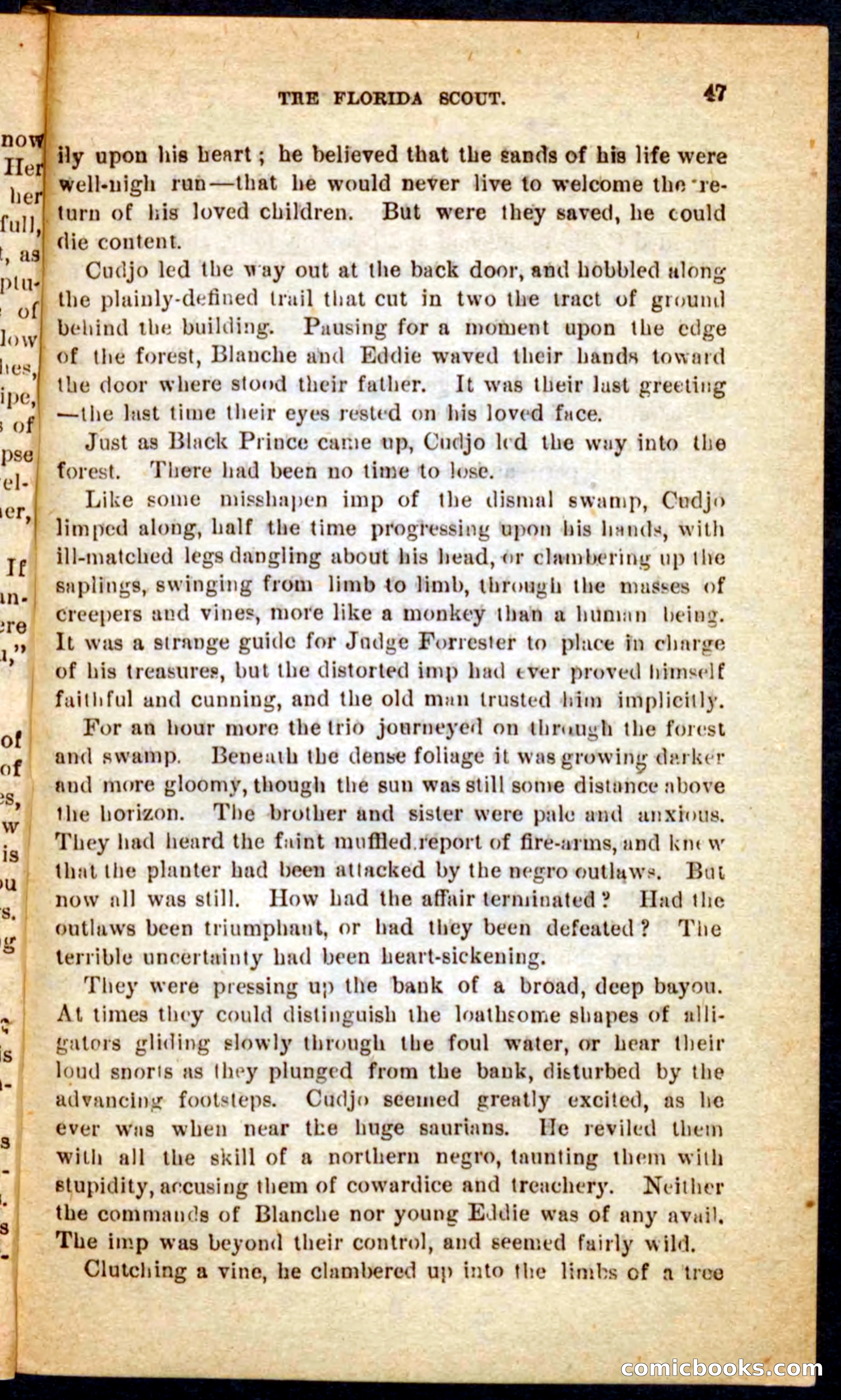 The Florida Scout — page 43 of 100