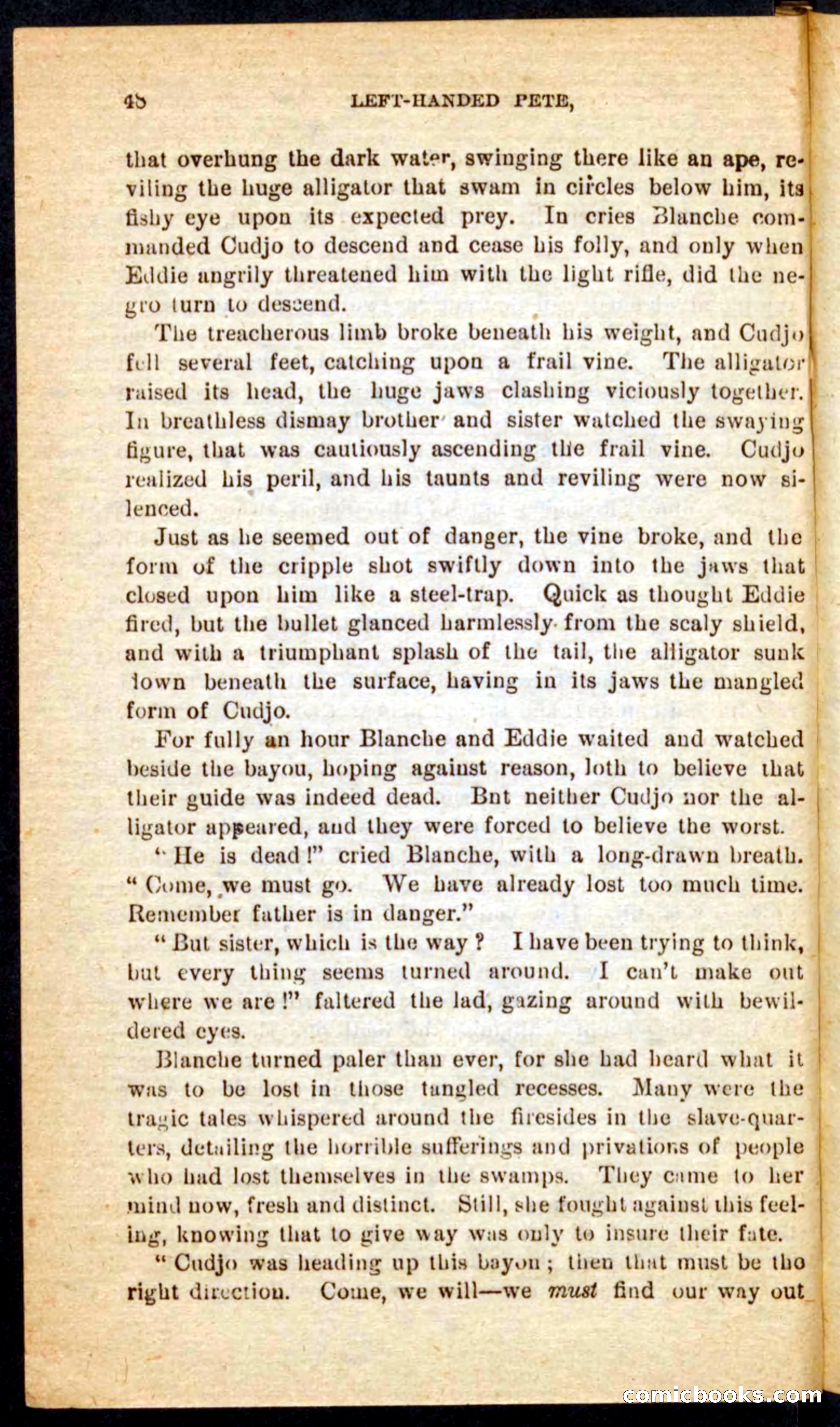 The Florida Scout — page 44 of 100