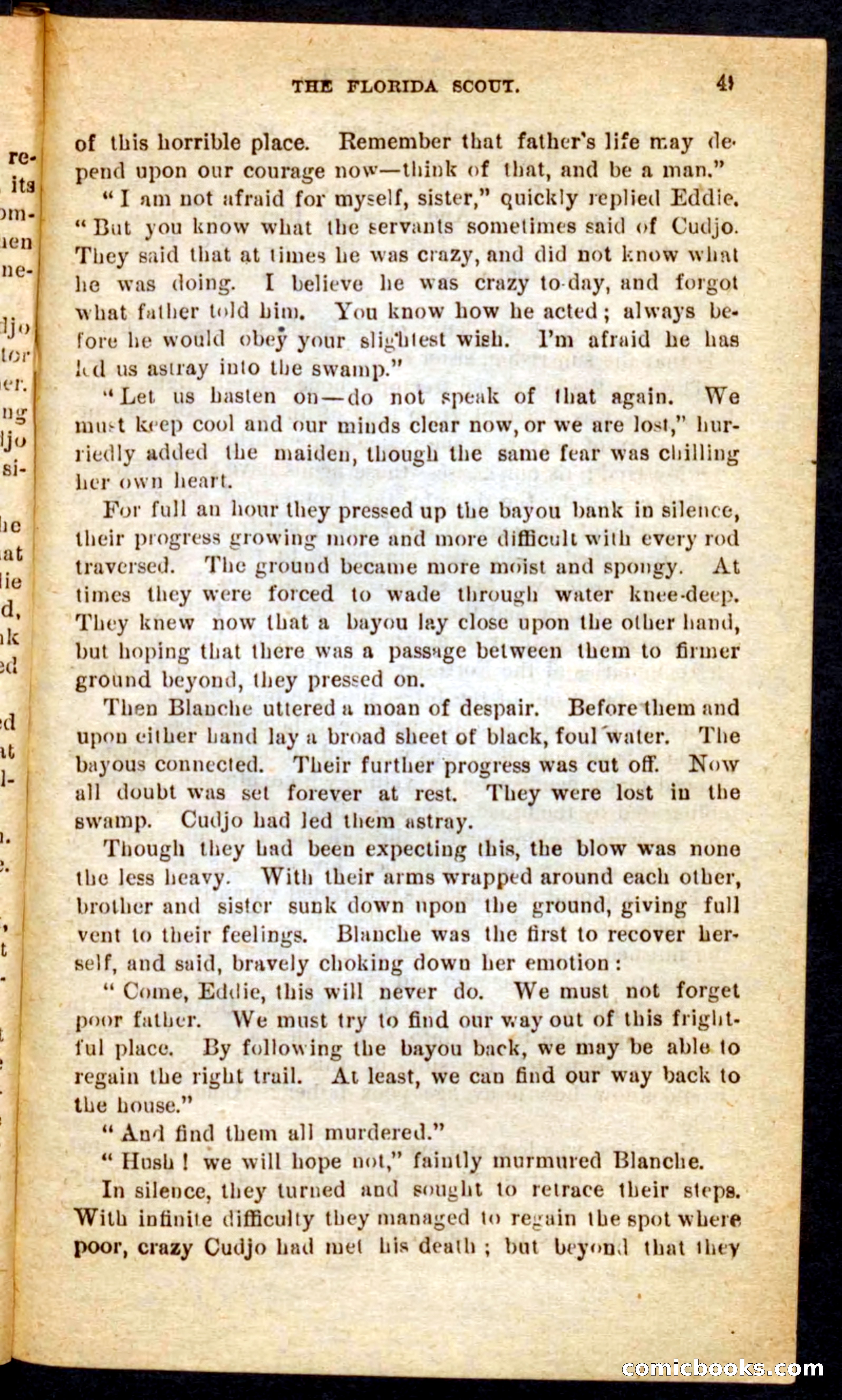 The Florida Scout — page 45 of 100