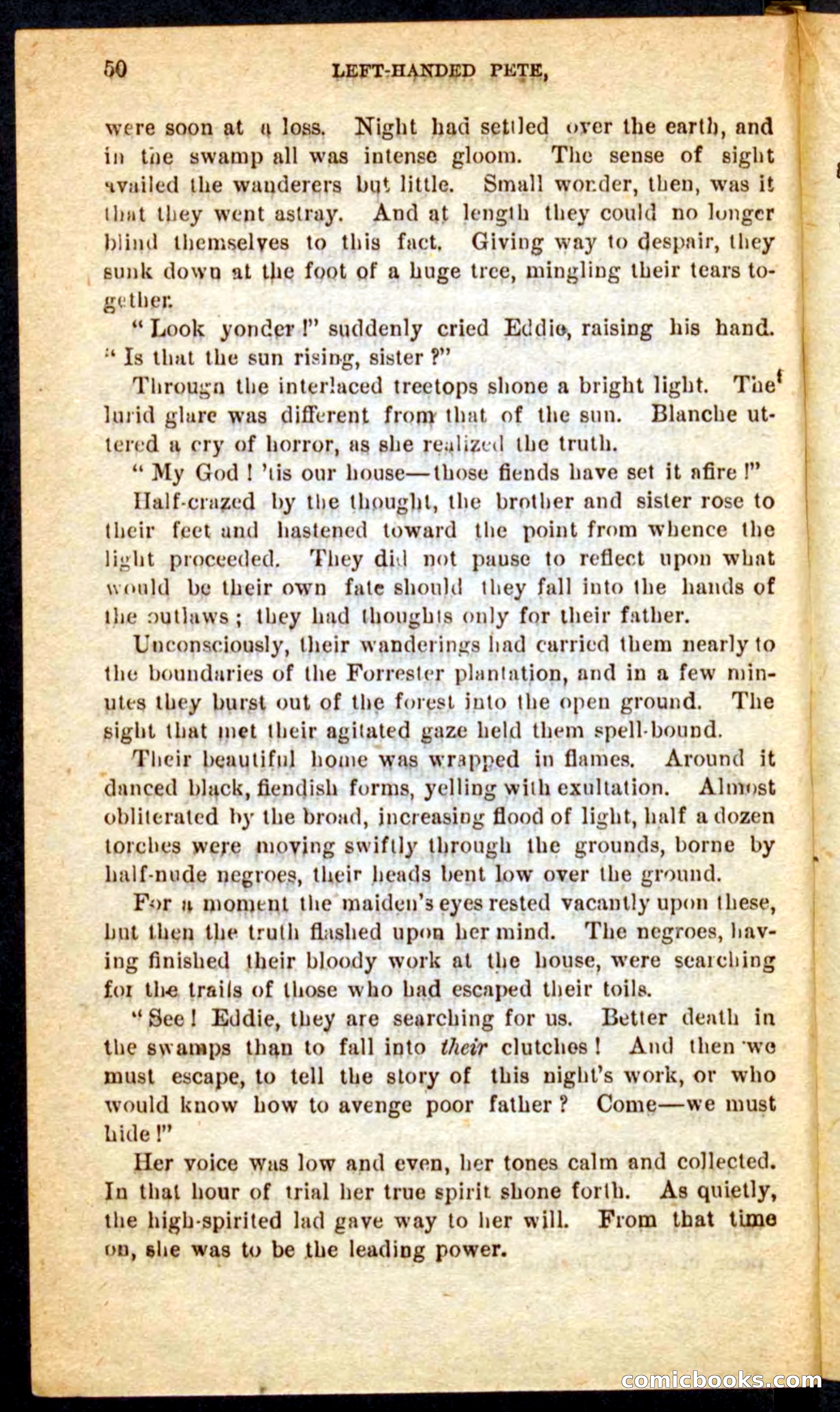 The Florida Scout — page 46 of 100