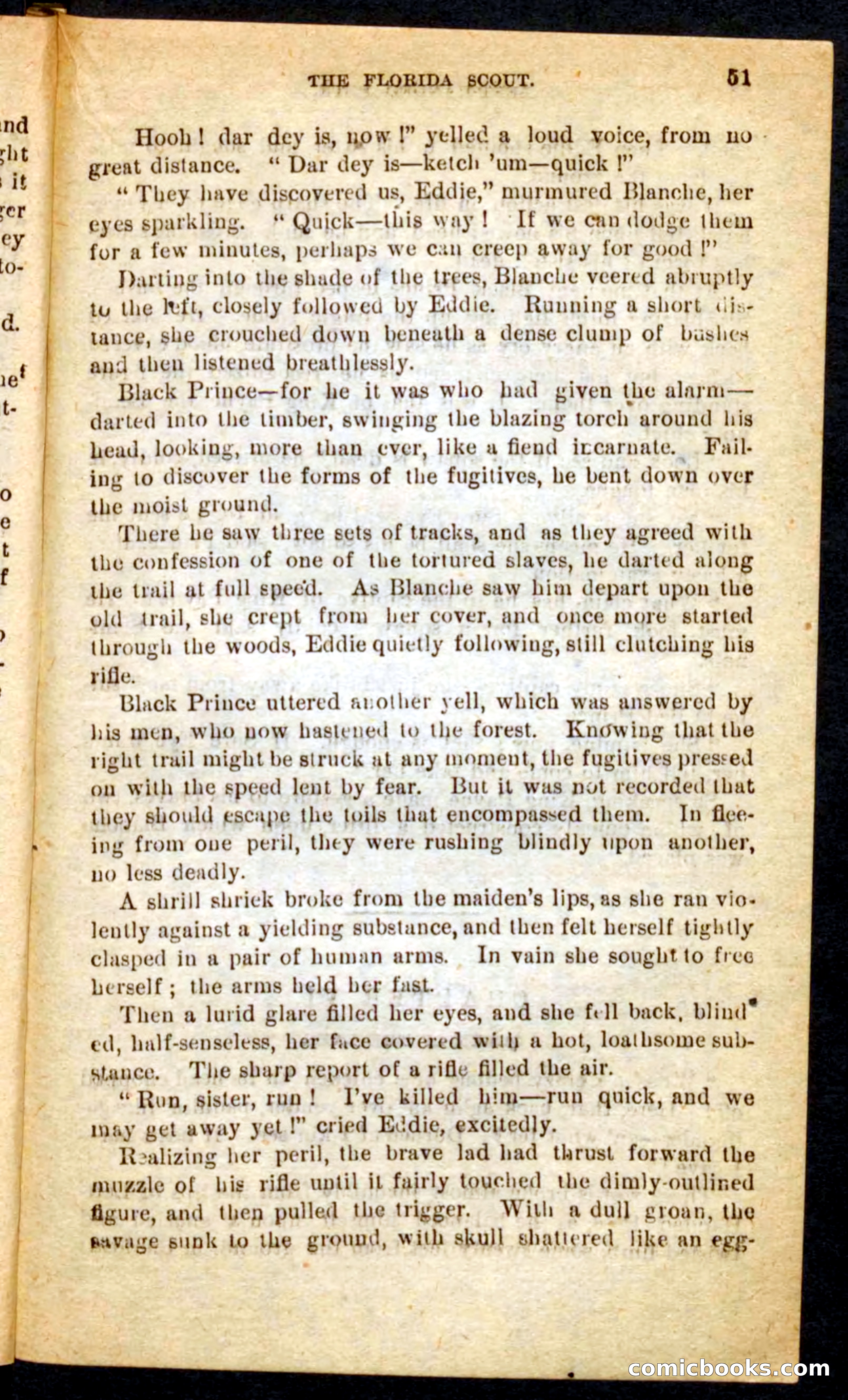 The Florida Scout — page 47 of 100