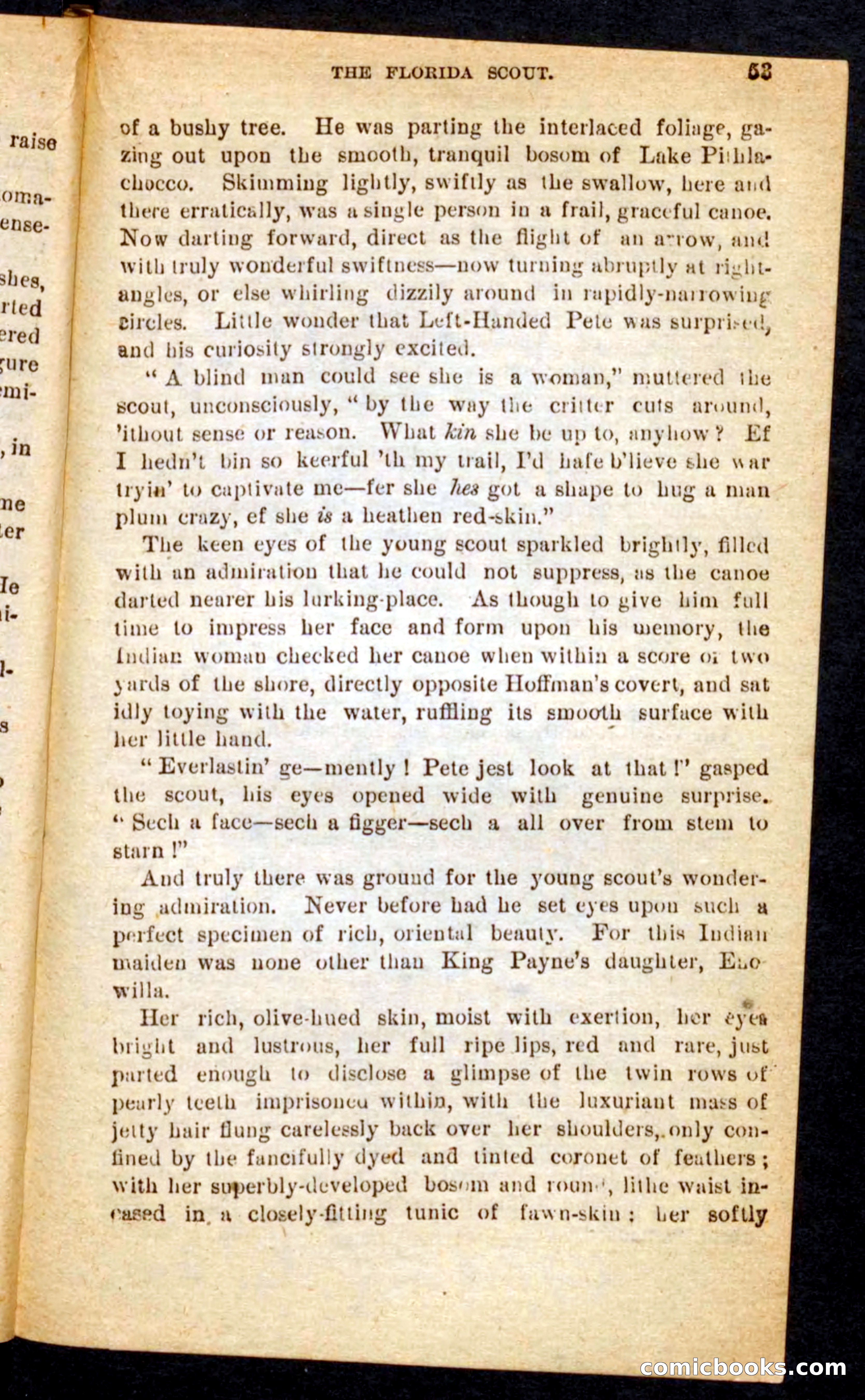 The Florida Scout — page 49 of 100