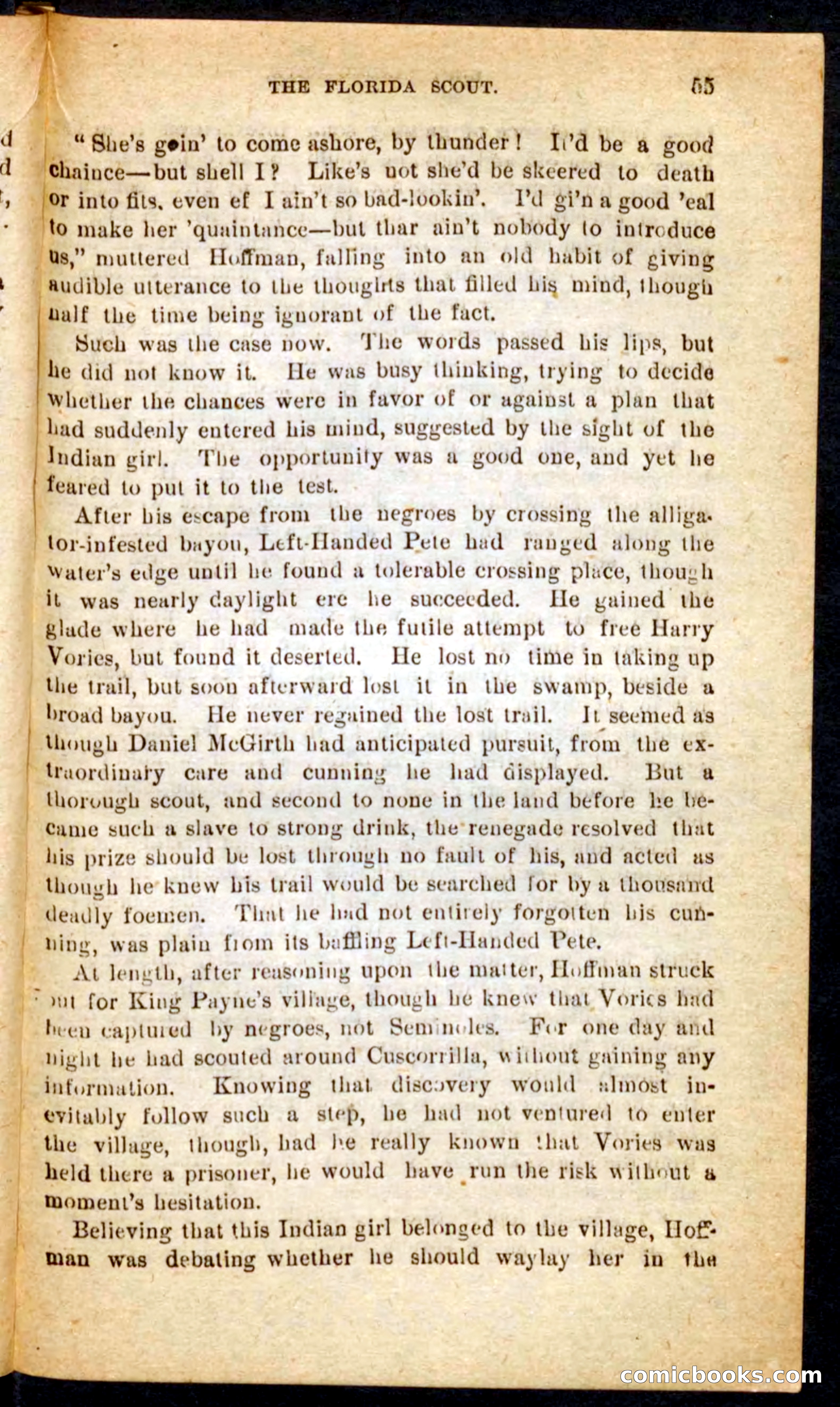 The Florida Scout — page 51 of 100