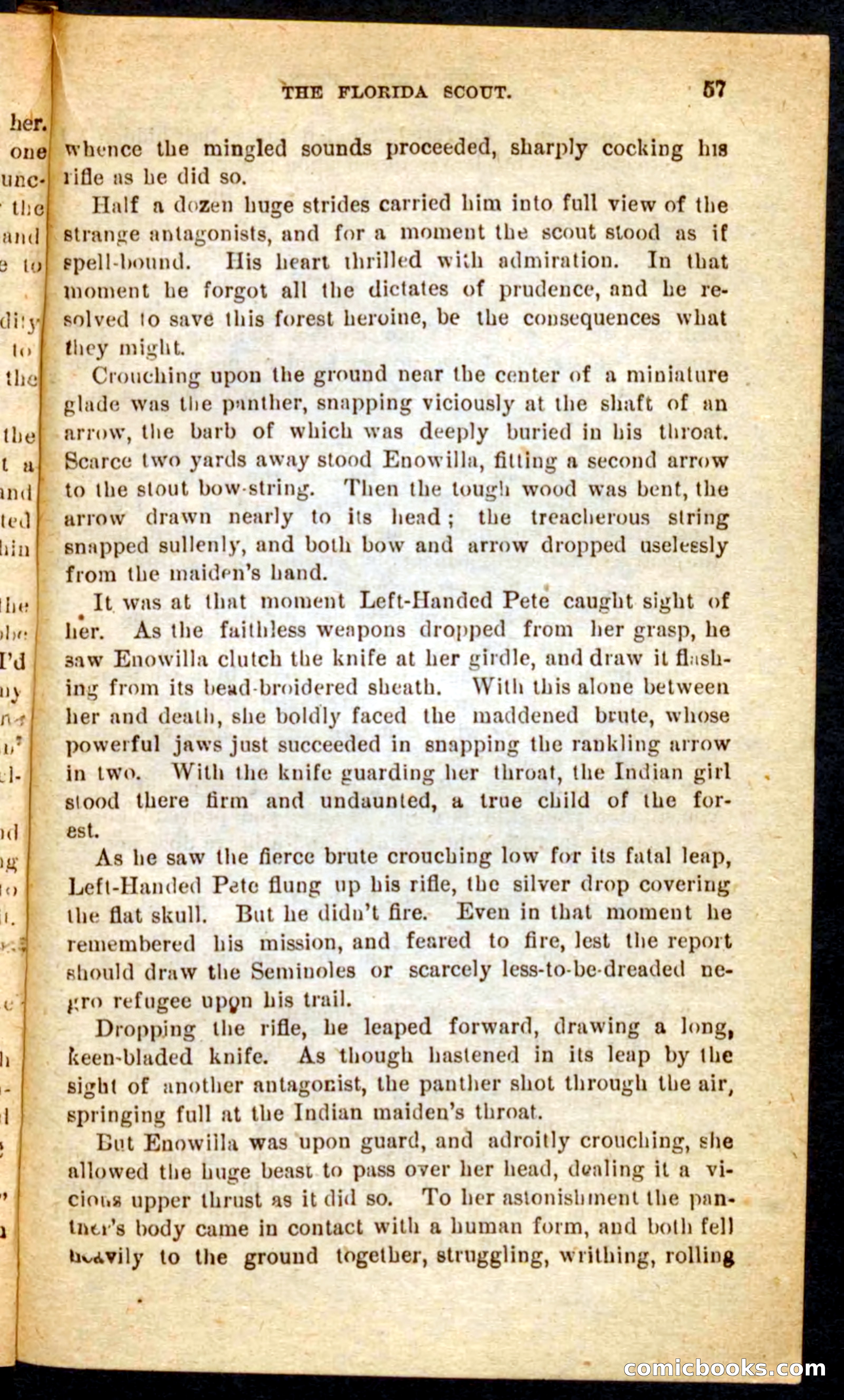 The Florida Scout — page 53 of 100