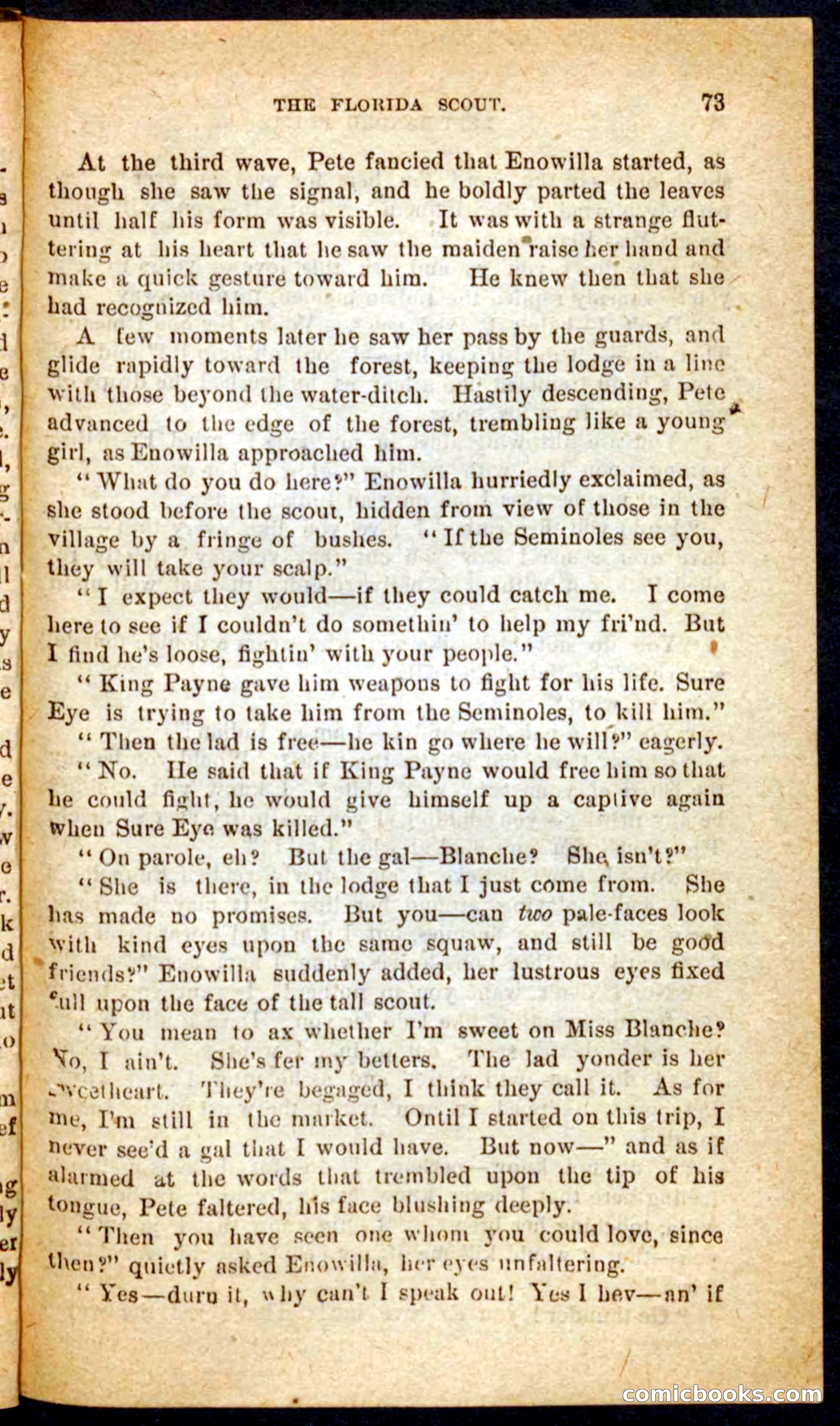 The Florida Scout — page 69 of 100