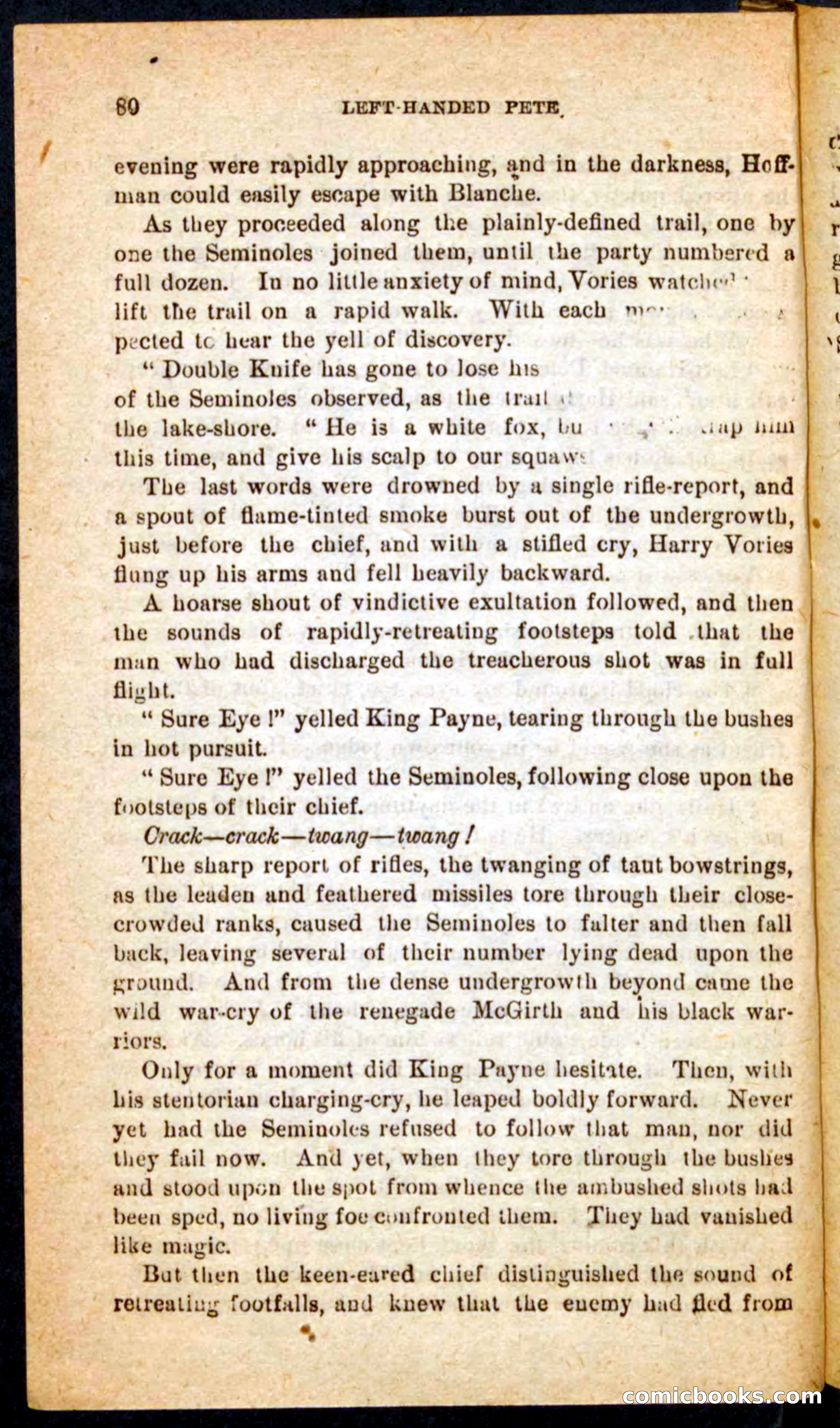 The Florida Scout — page 76 of 100