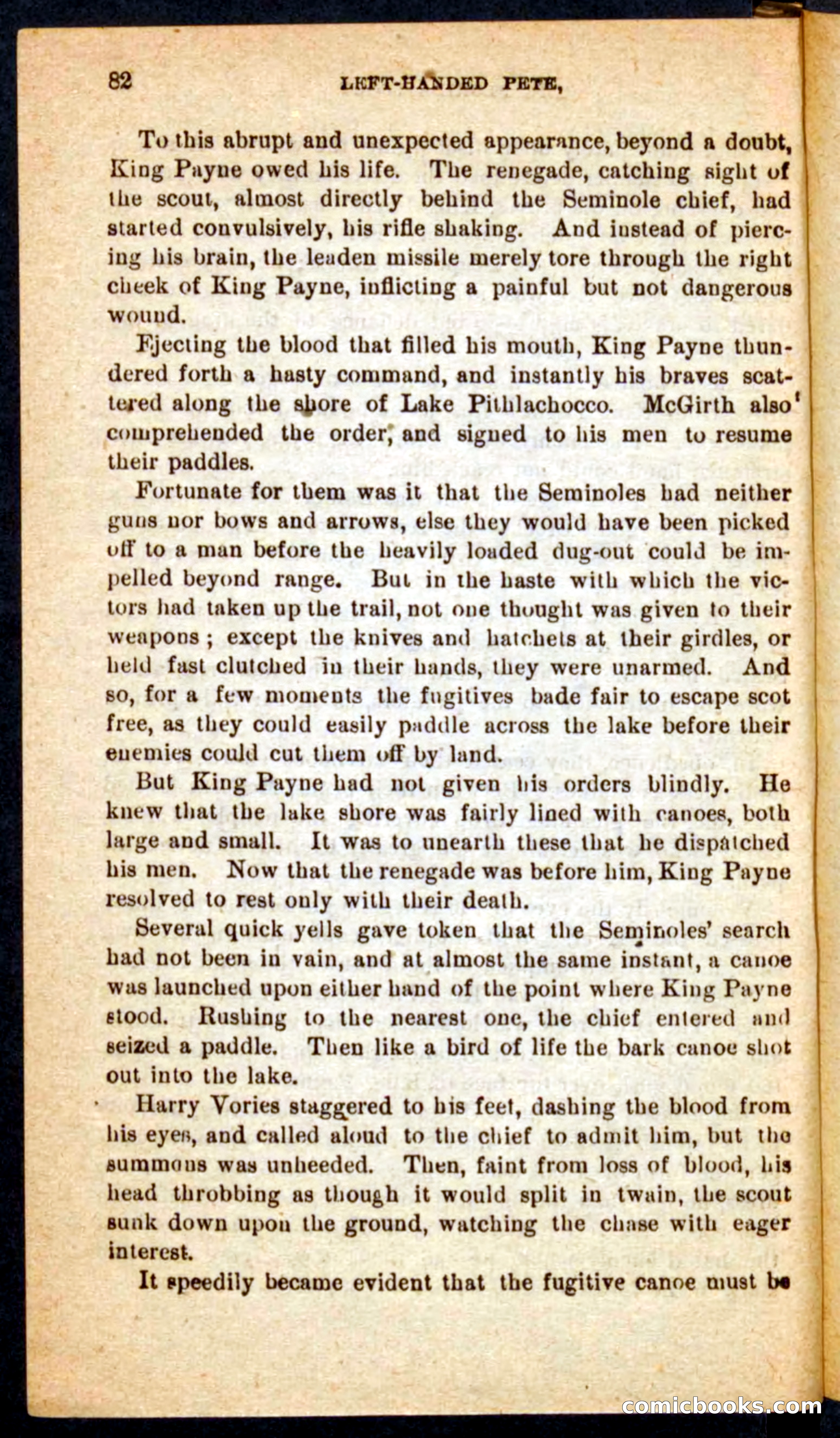 The Florida Scout — page 78 of 100