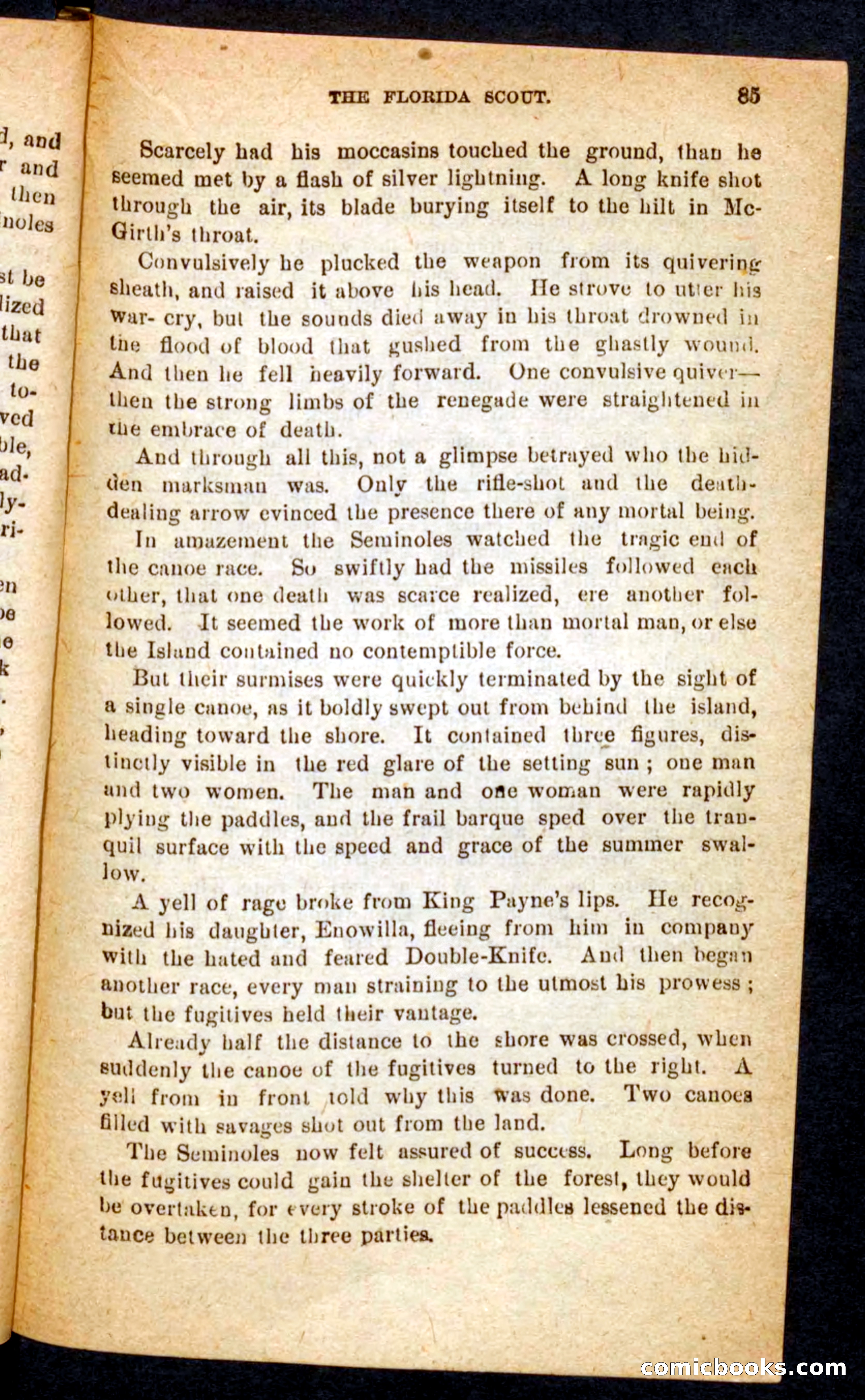 The Florida Scout — page 81 of 100