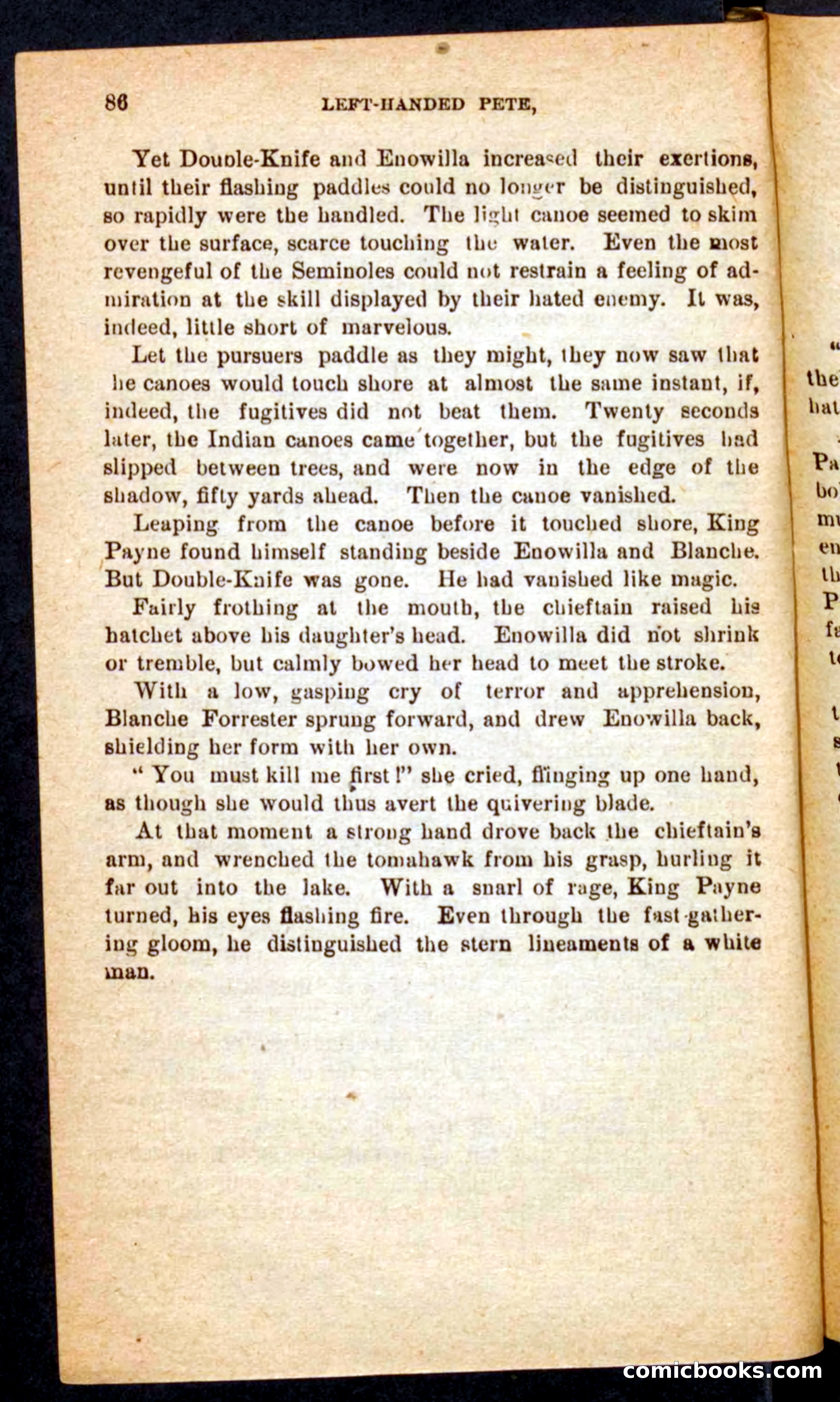 The Florida Scout — page 82 of 100