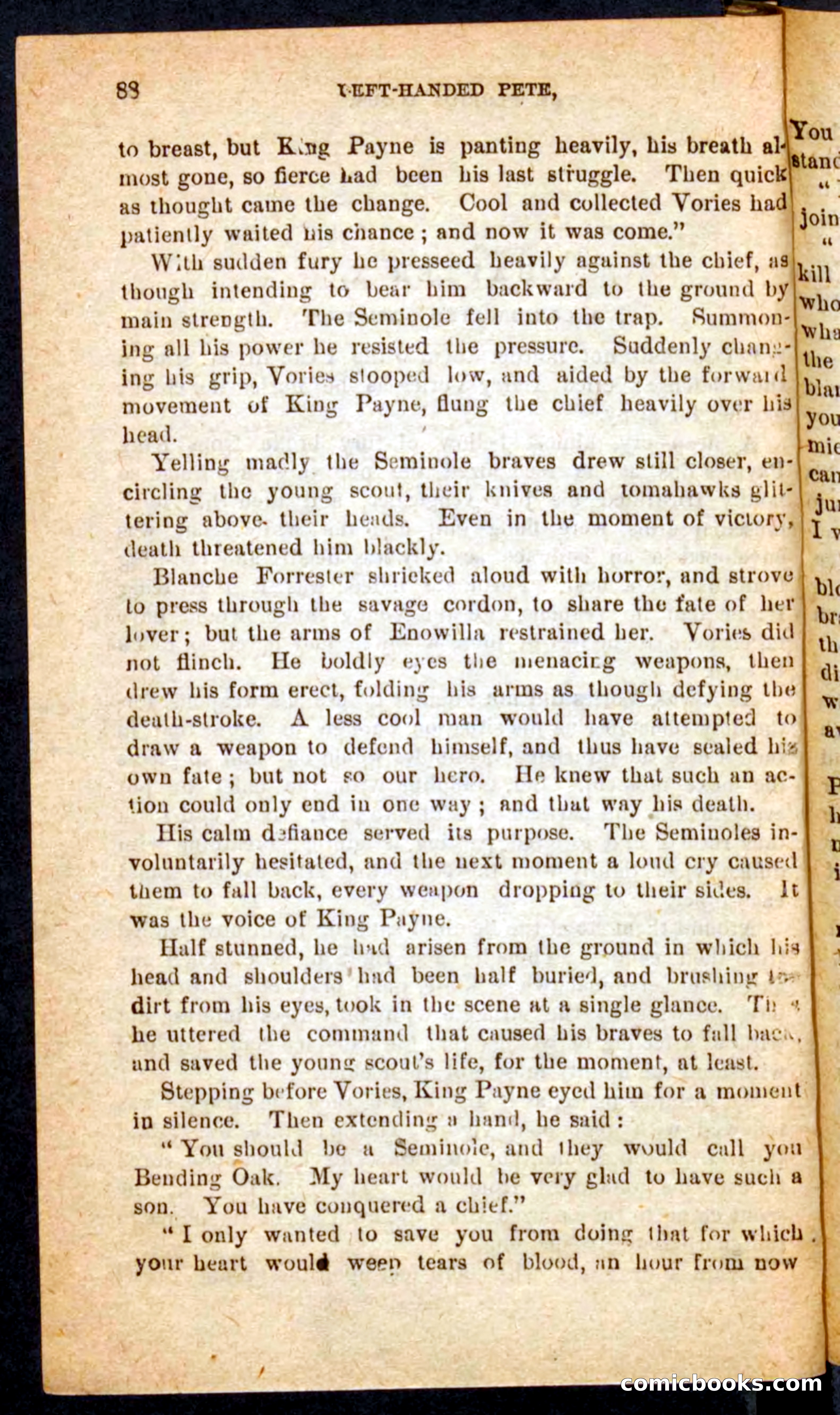 The Florida Scout — page 84 of 100