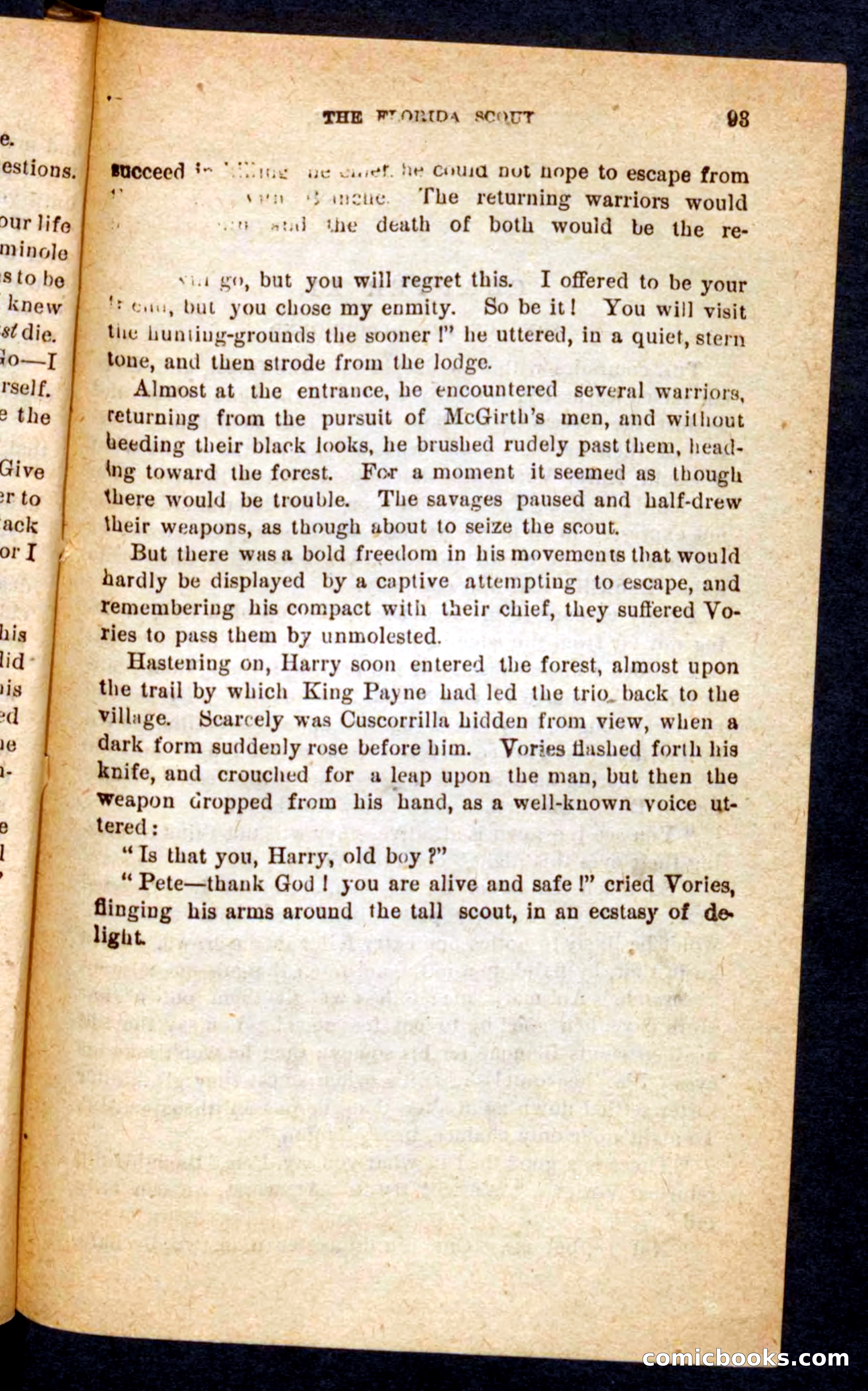 The Florida Scout — page 89 of 100