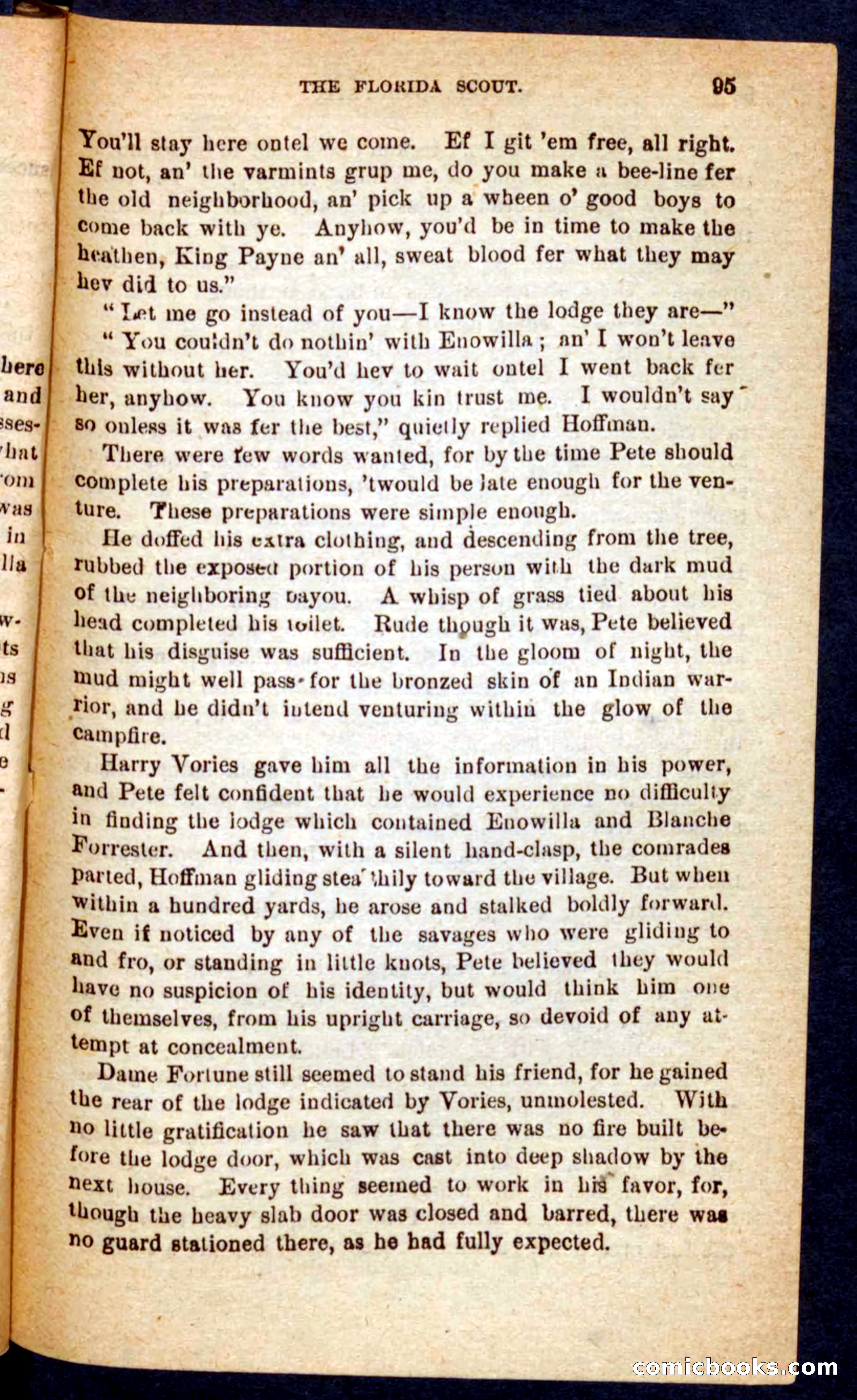 The Florida Scout — page 91 of 100