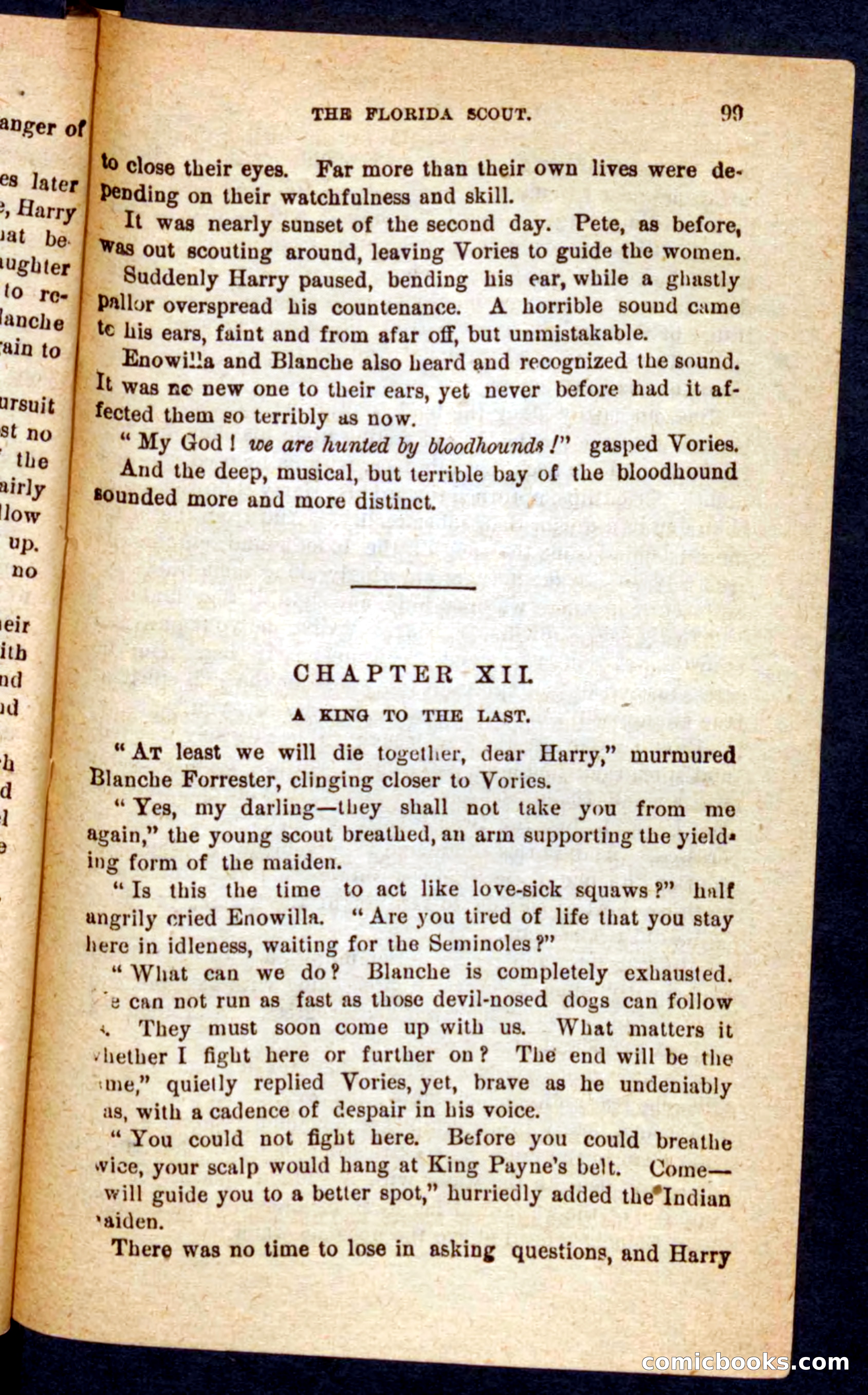 The Florida Scout — page 95 of 100