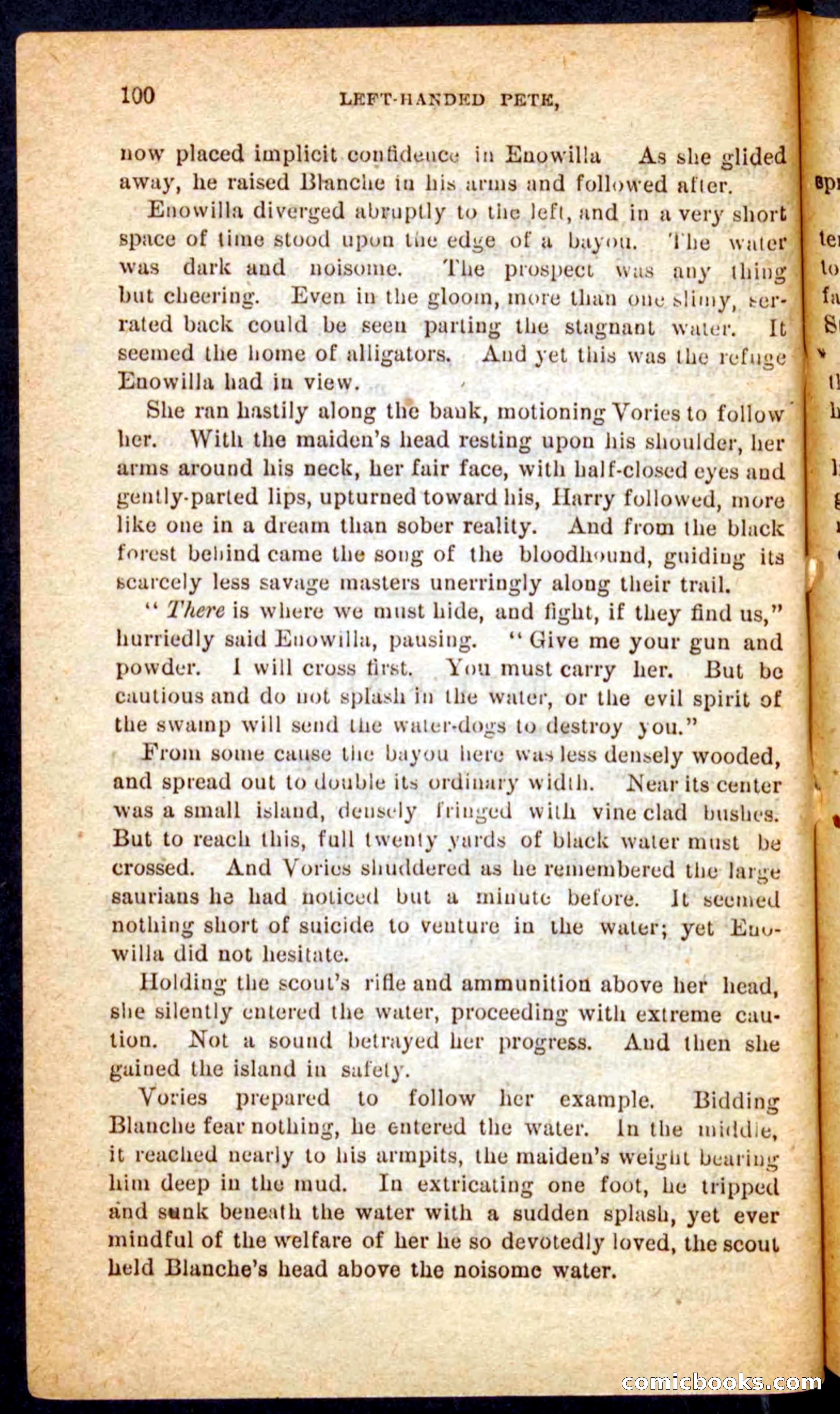 The Florida Scout — page 96 of 100