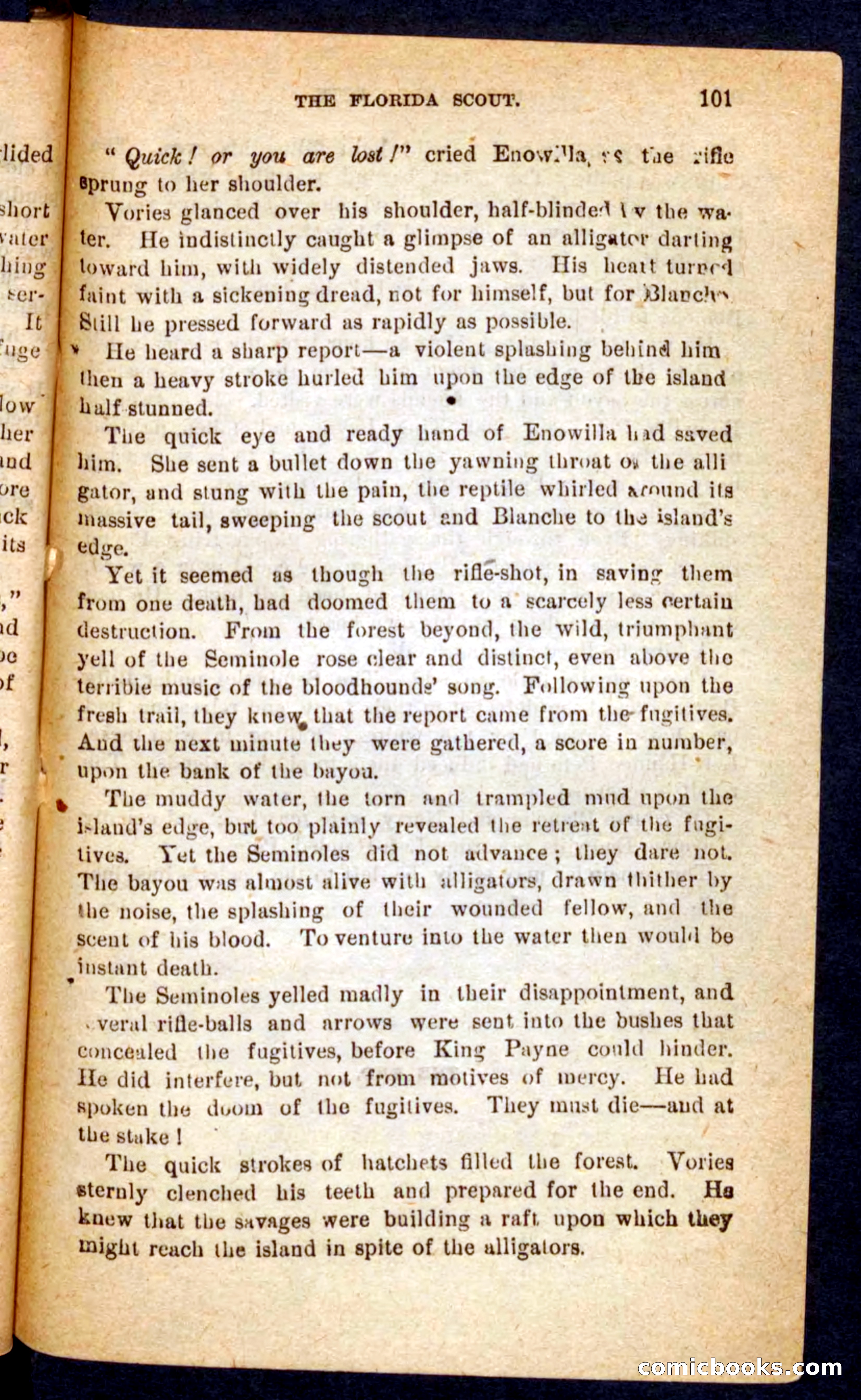 The Florida Scout — page 97 of 100