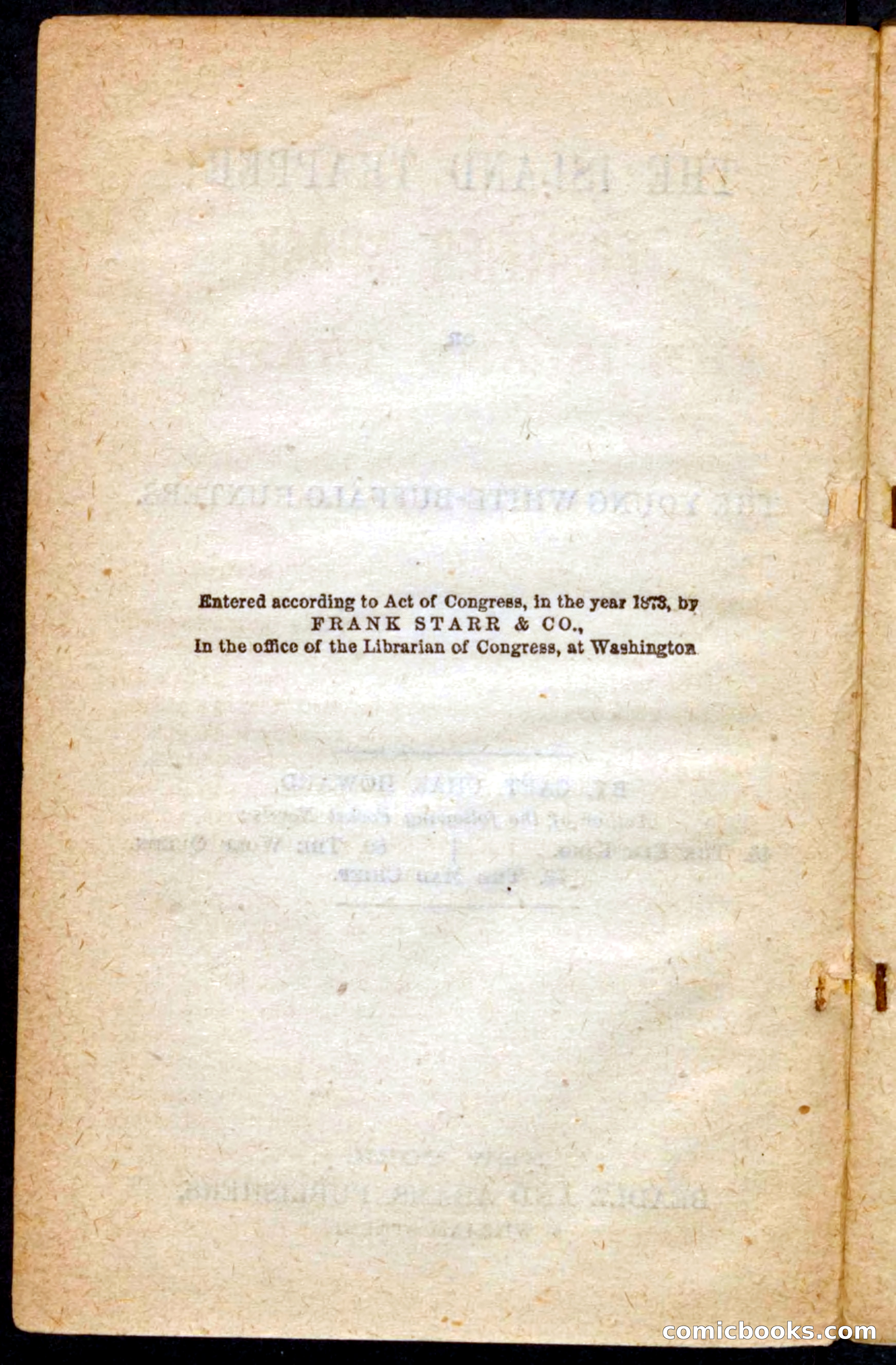 Beadle's Pocket Novels No. 64: The Island Trapper — page 4 of 100
