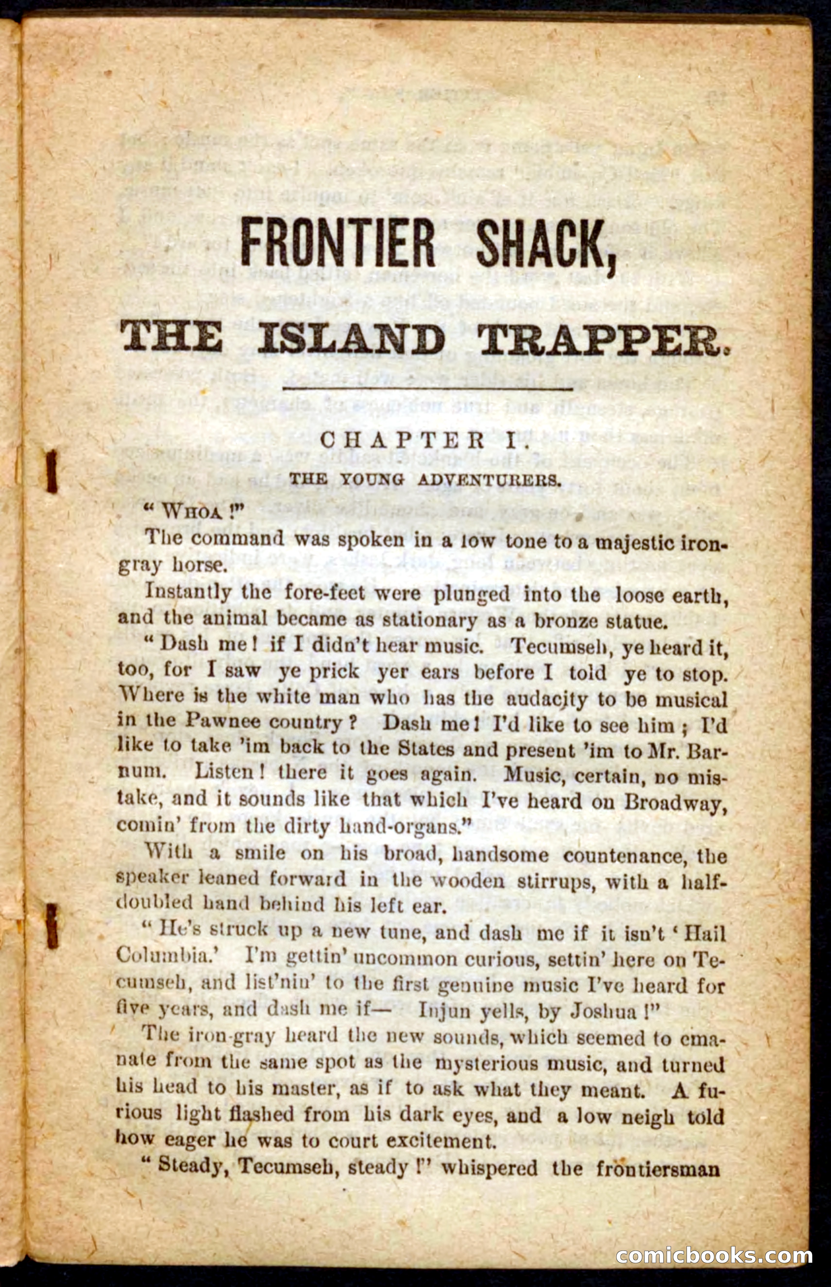 Beadle's Pocket Novels No. 64: The Island Trapper — page 5 of 100