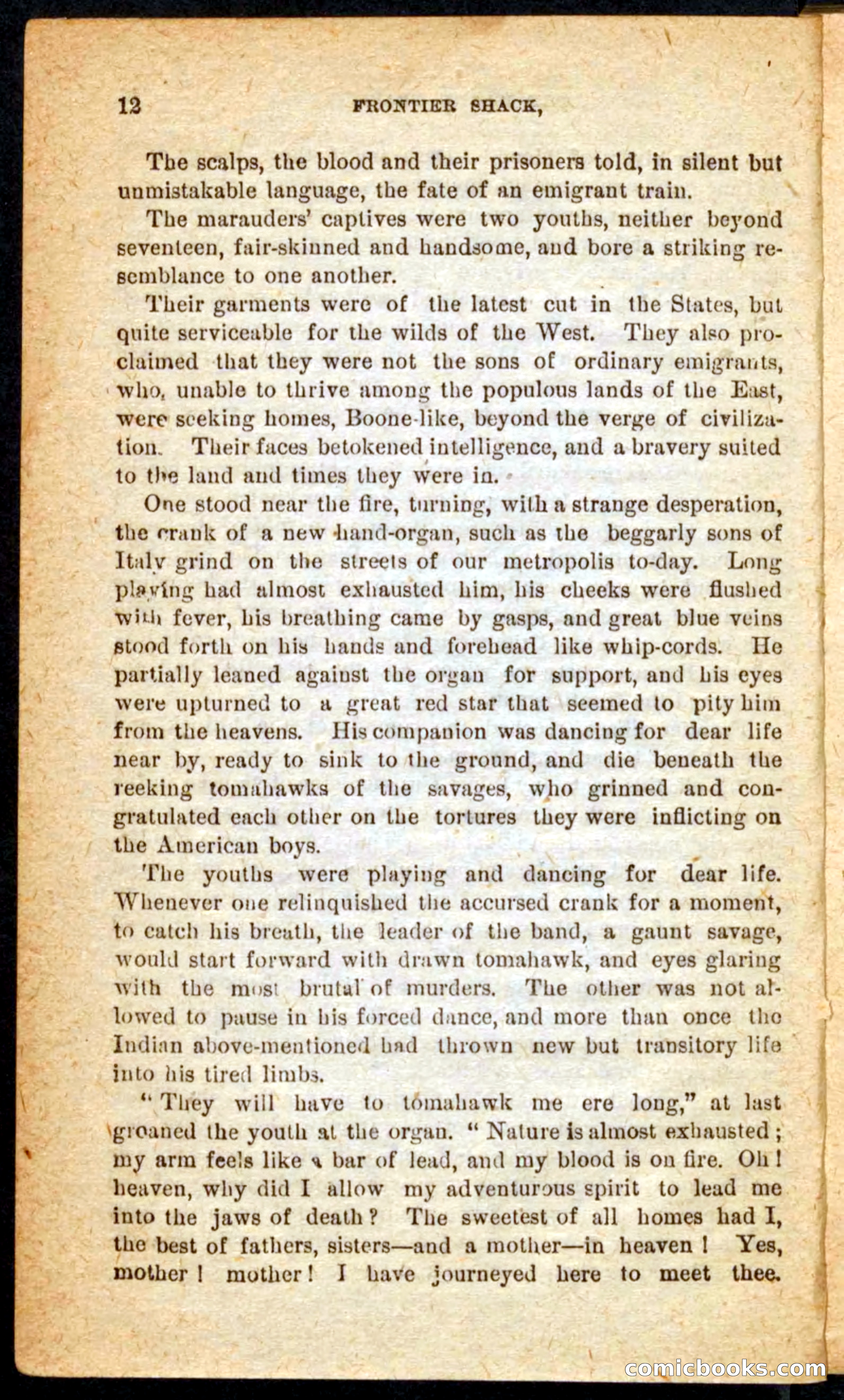 Beadle's Pocket Novels No. 64: The Island Trapper — page 8 of 100