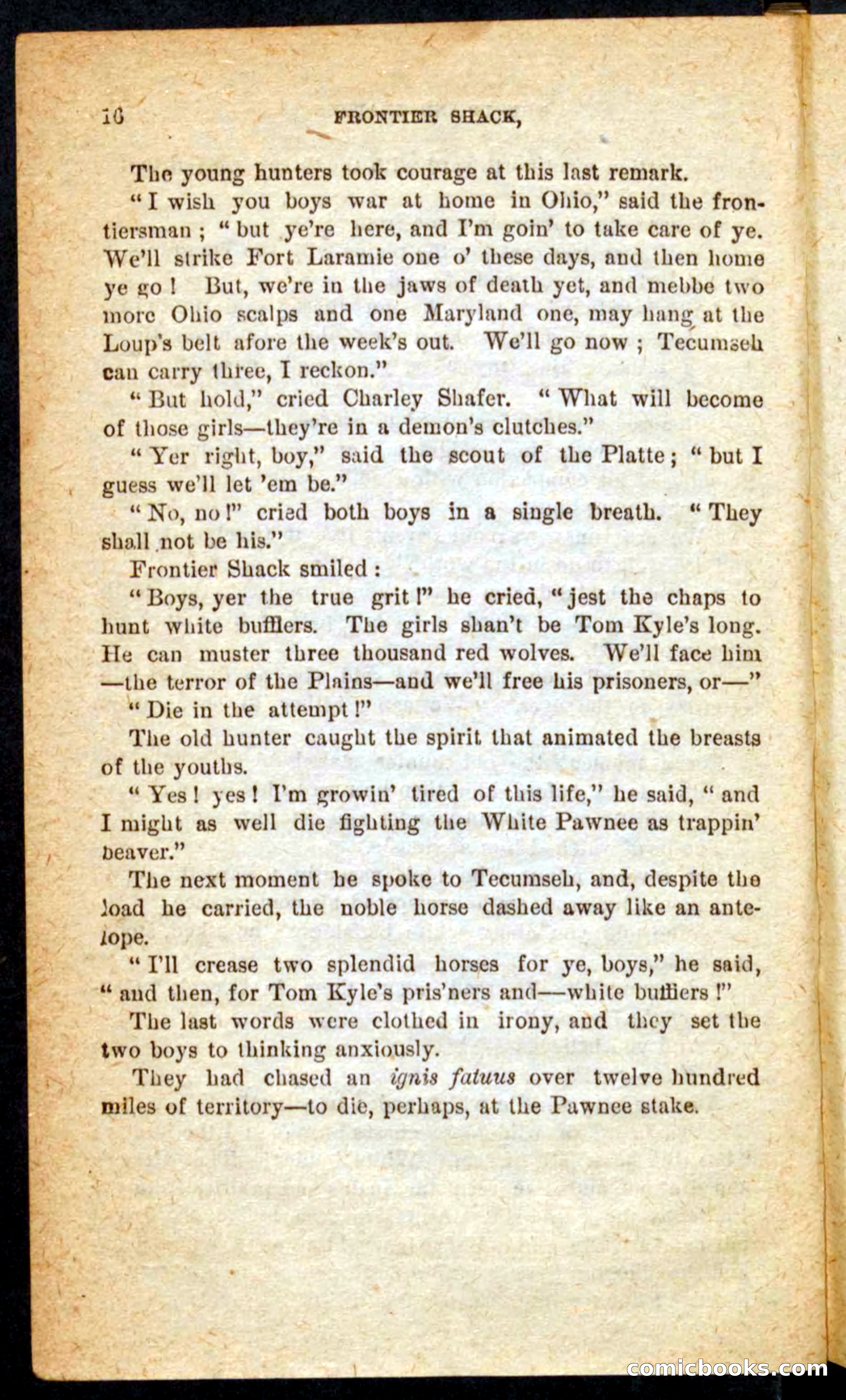 Beadle's Pocket Novels No. 64: The Island Trapper — page 12 of 100