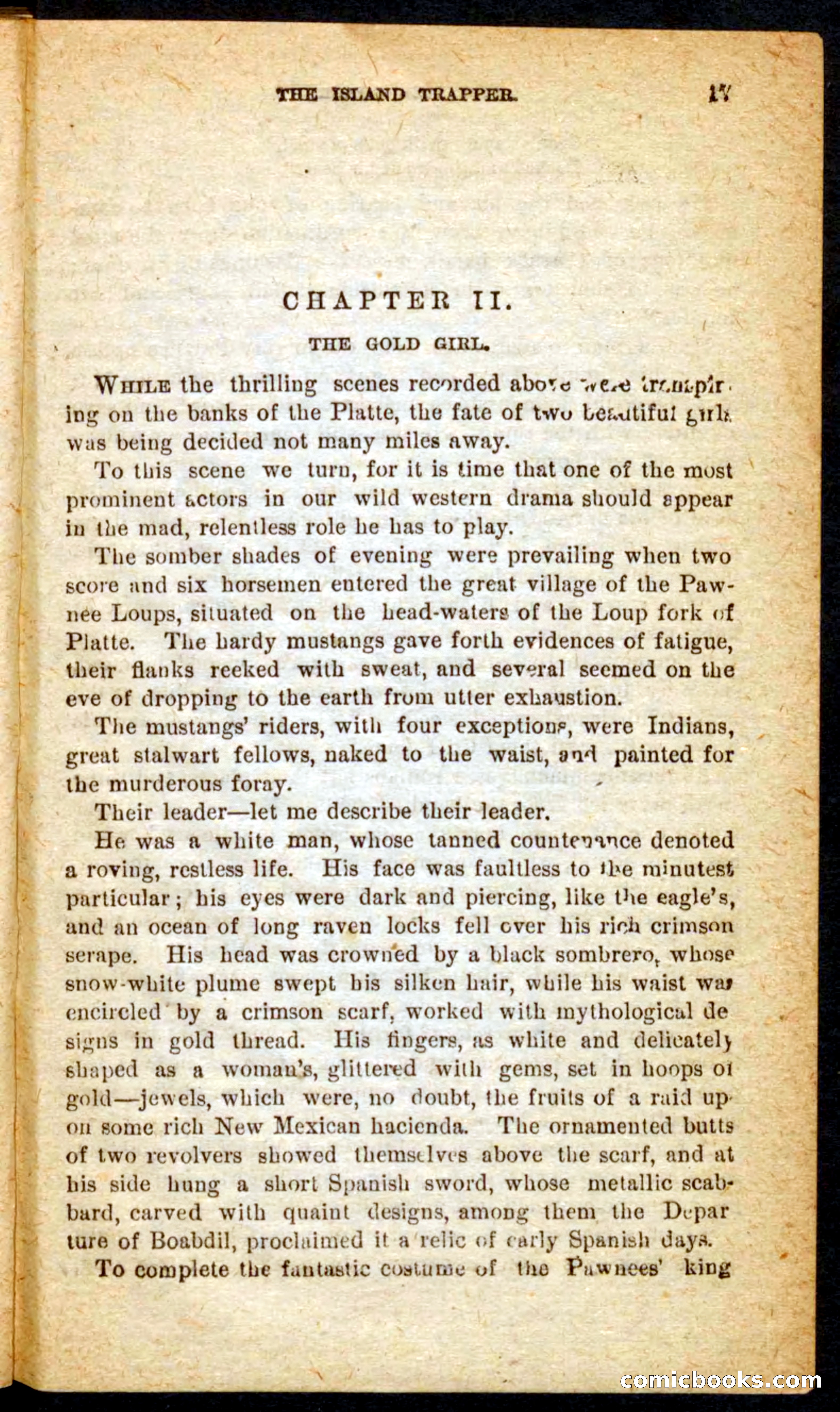 Beadle's Pocket Novels No. 64: The Island Trapper — page 13 of 100