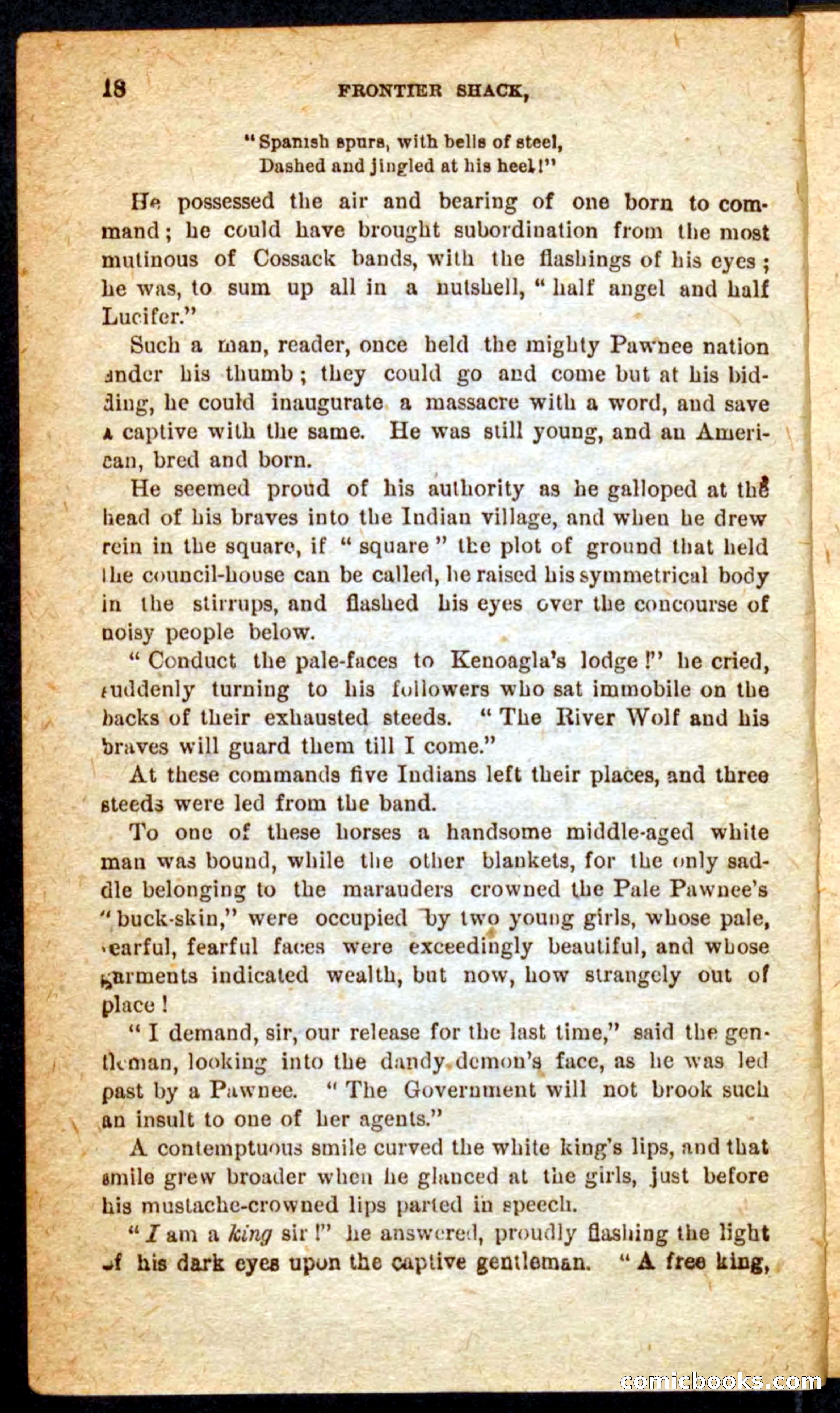 Beadle's Pocket Novels No. 64: The Island Trapper — page 14 of 100