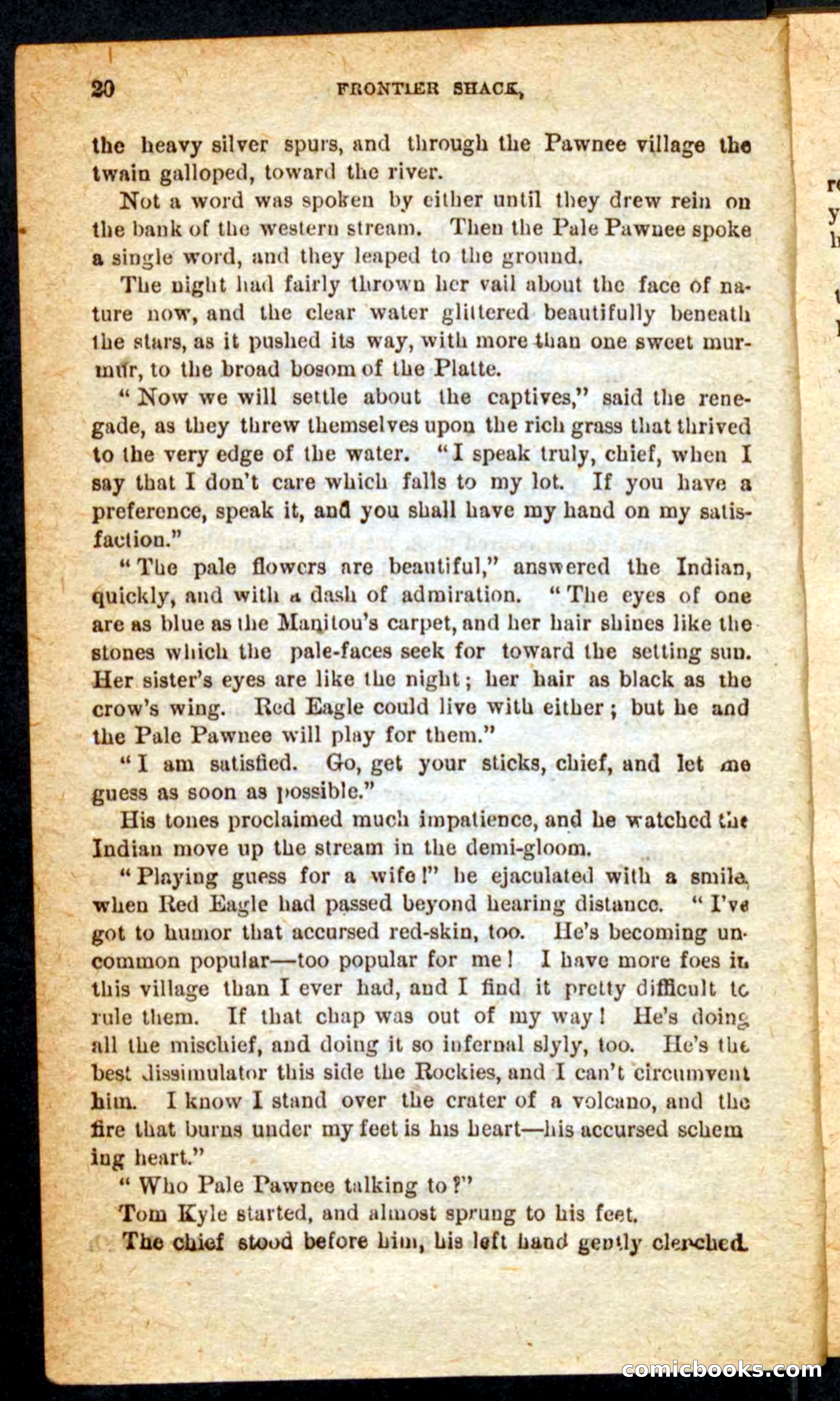 Beadle's Pocket Novels No. 64: The Island Trapper — page 16 of 100
