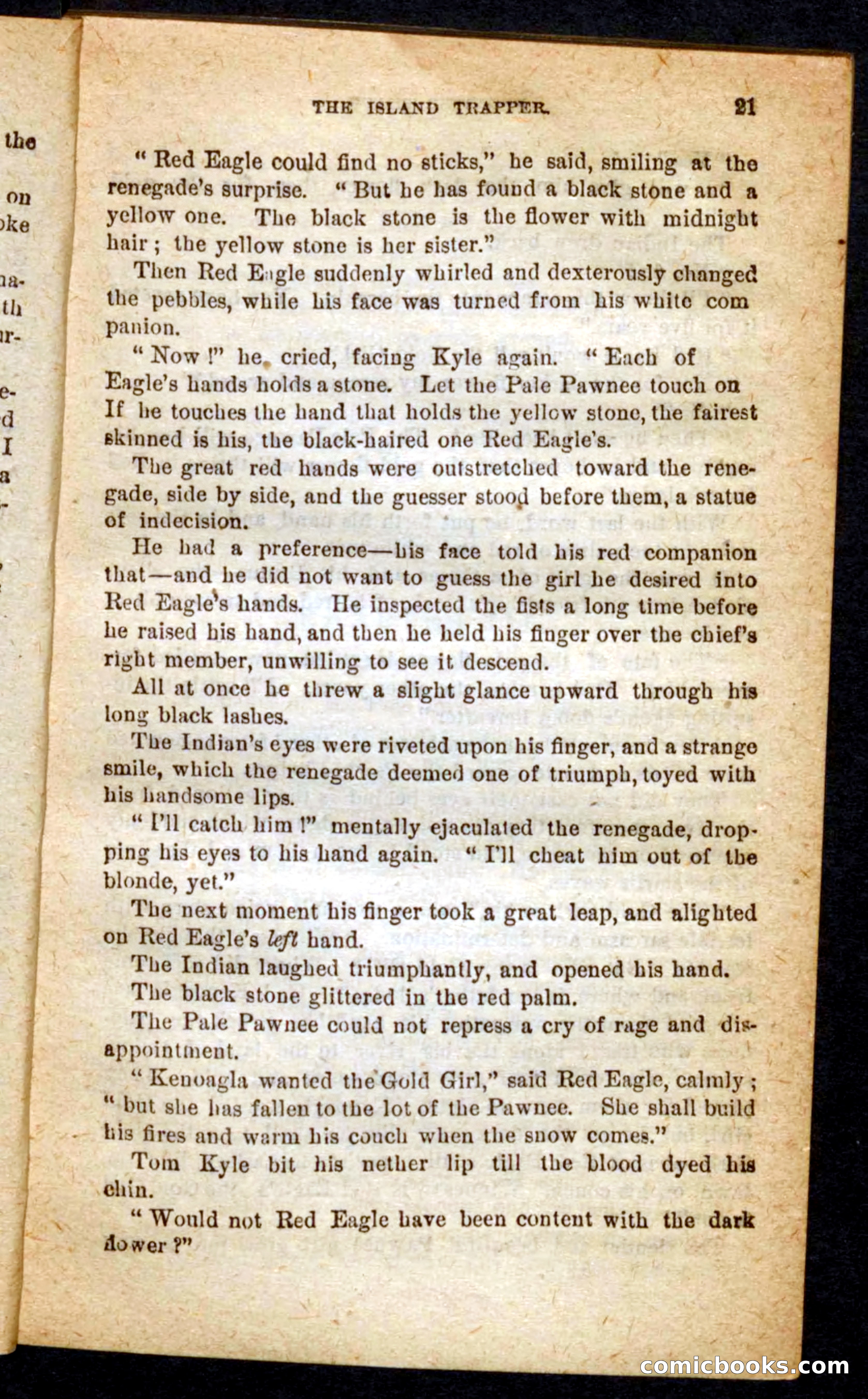 Beadle's Pocket Novels No. 64: The Island Trapper — page 17 of 100