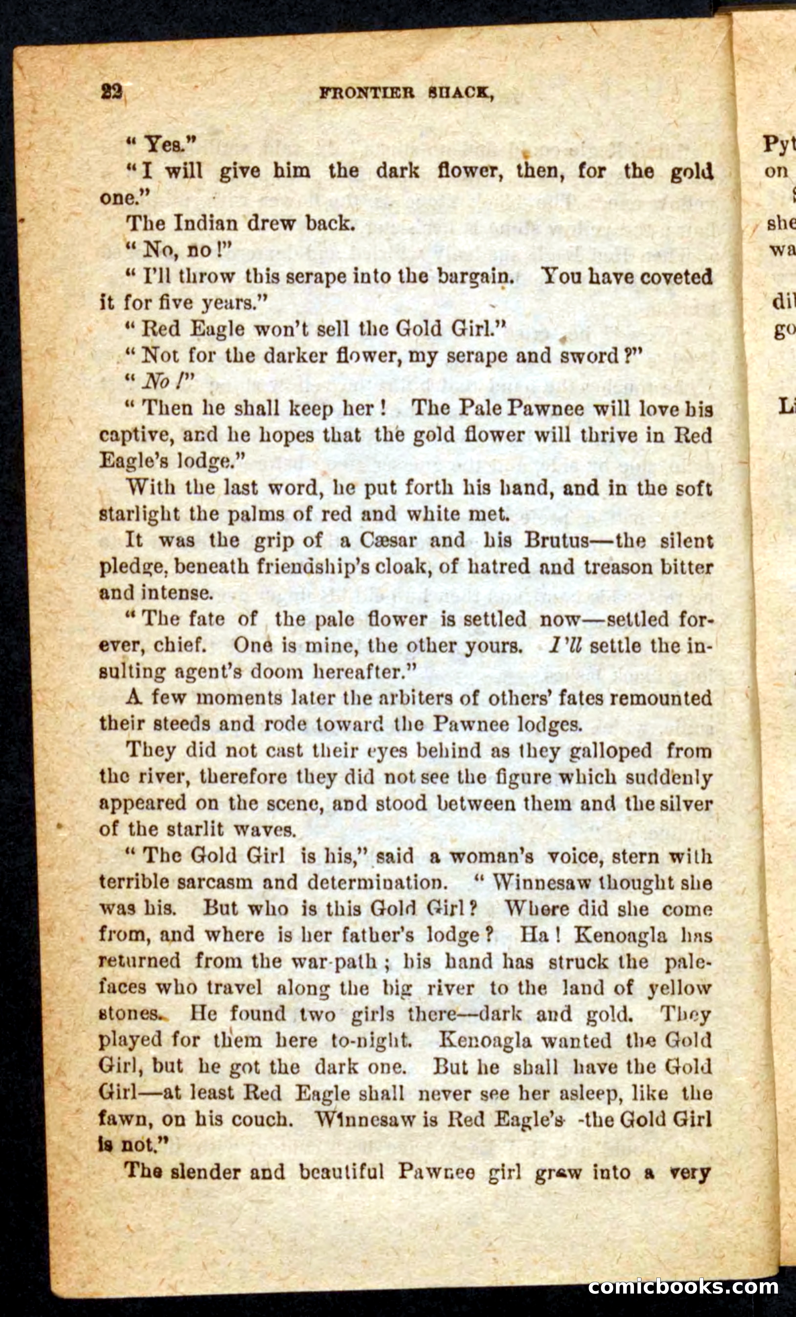 Beadle's Pocket Novels No. 64: The Island Trapper — page 18 of 100
