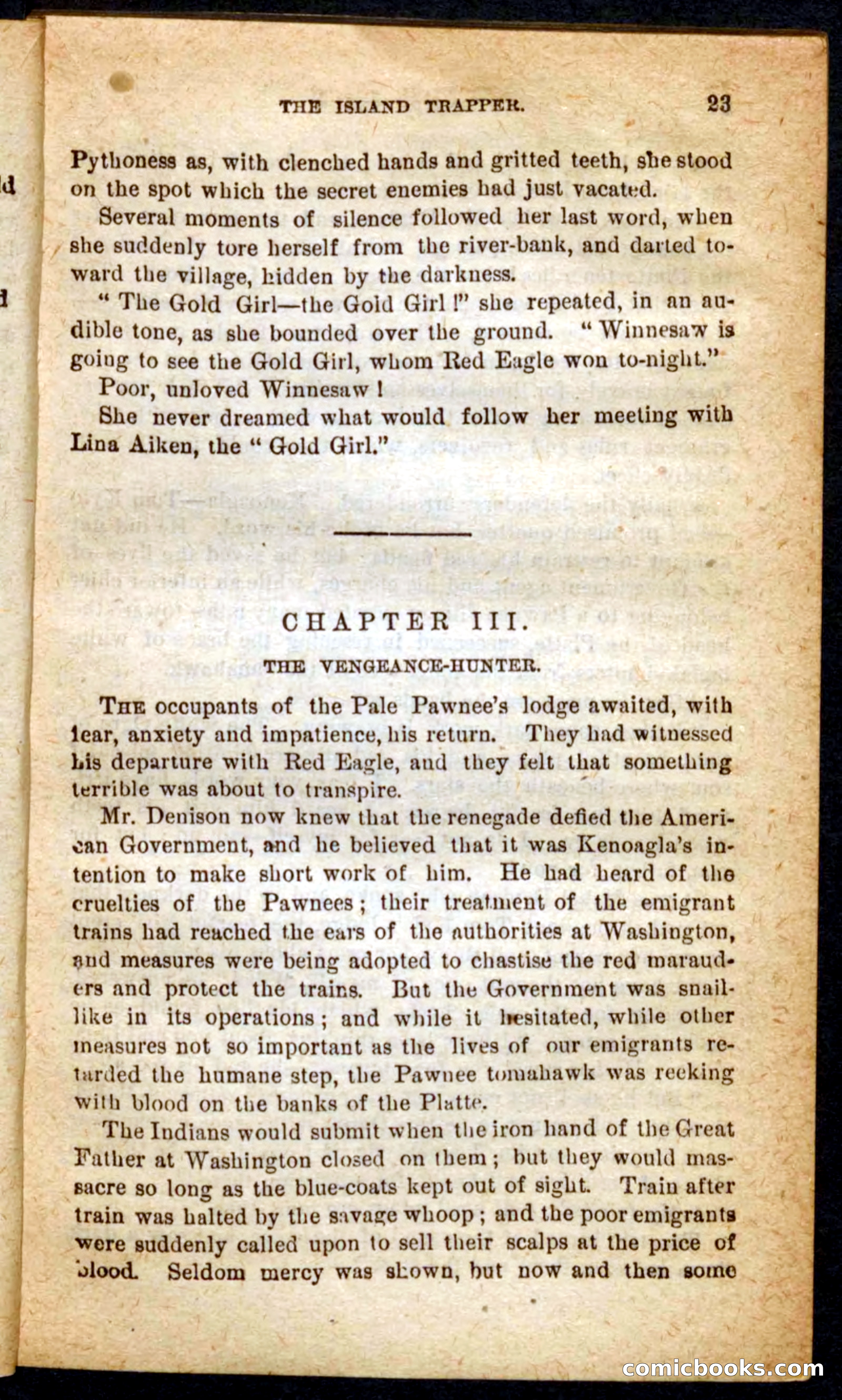 Beadle's Pocket Novels No. 64: The Island Trapper — page 19 of 100