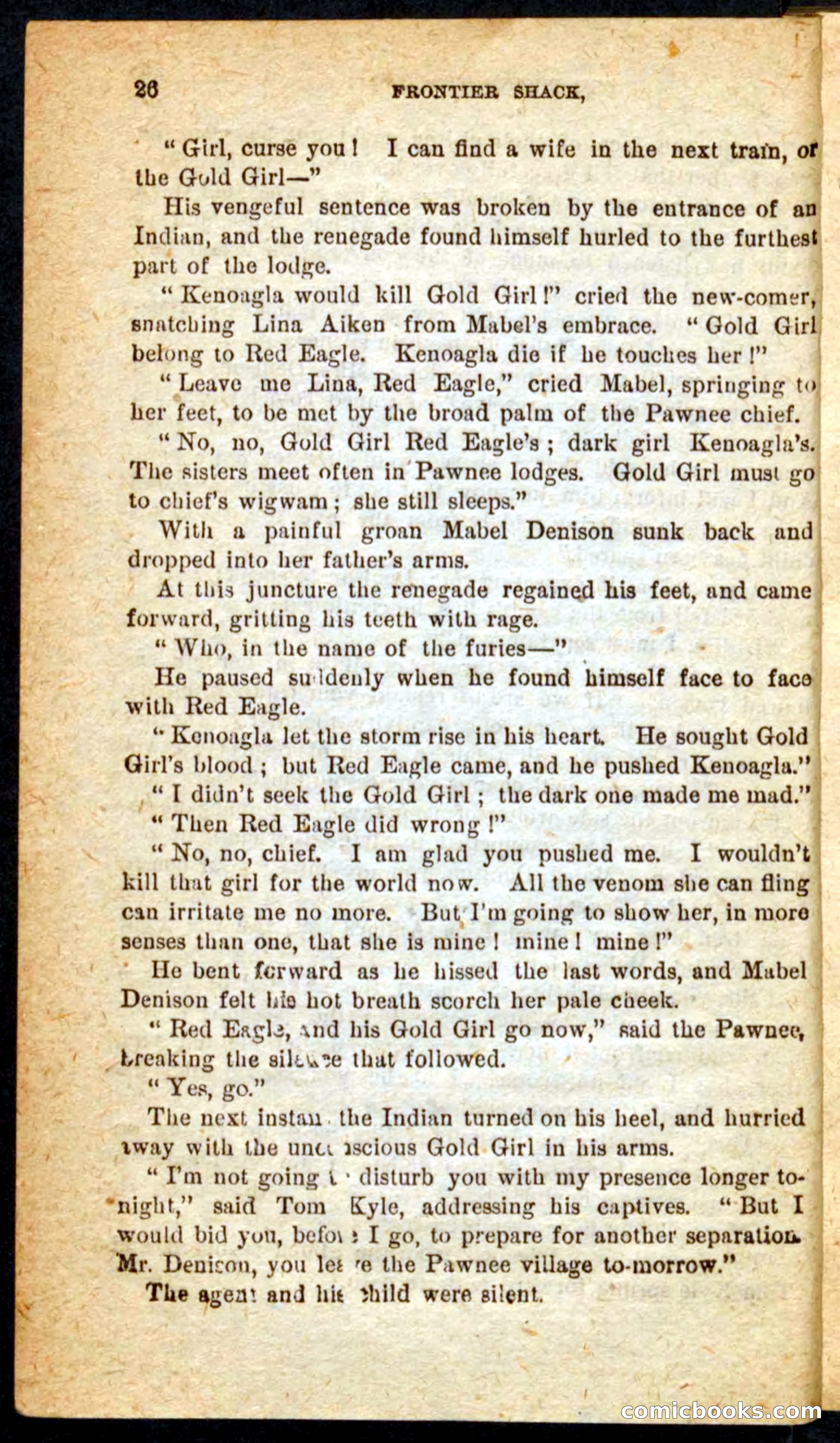 Beadle's Pocket Novels No. 64: The Island Trapper — page 22 of 100