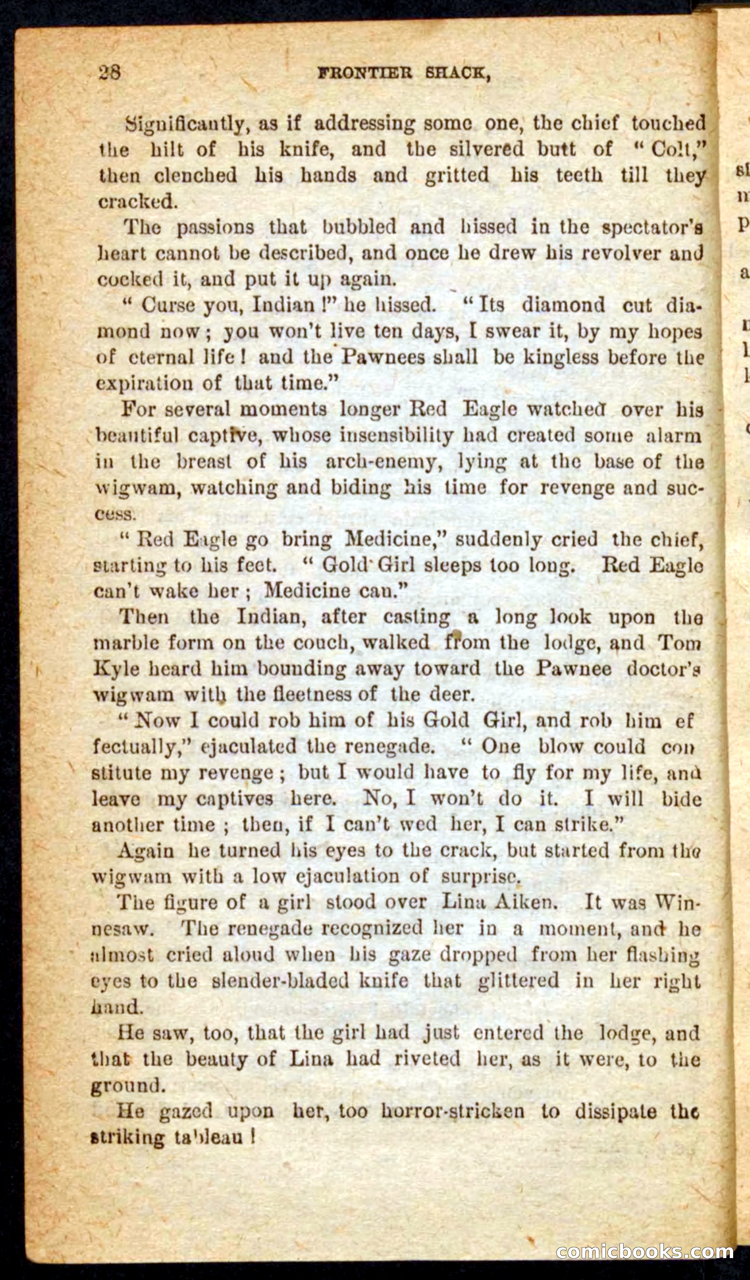 Beadle's Pocket Novels No. 64: The Island Trapper — page 24 of 100