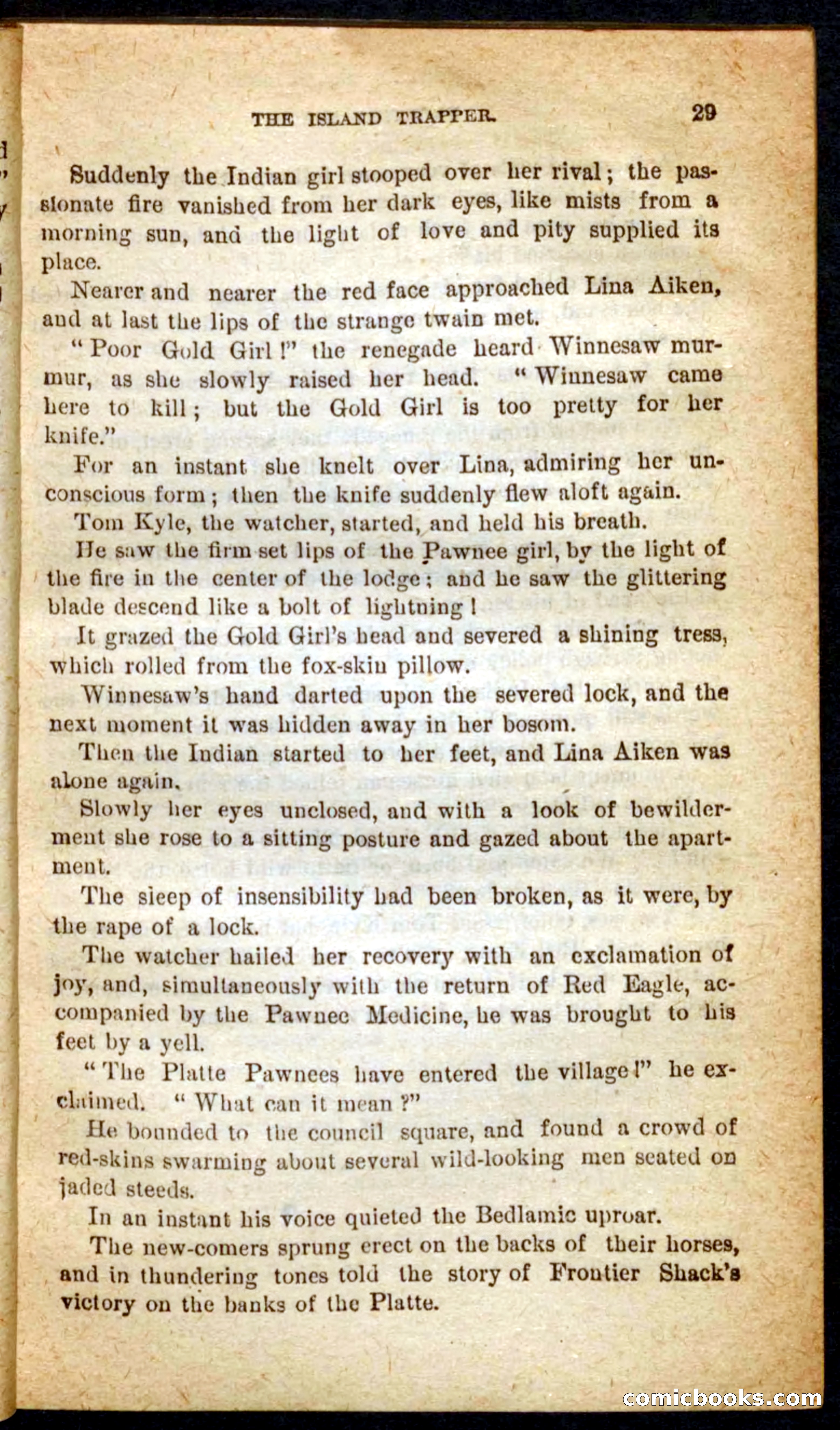 Beadle's Pocket Novels No. 64: The Island Trapper — page 25 of 100